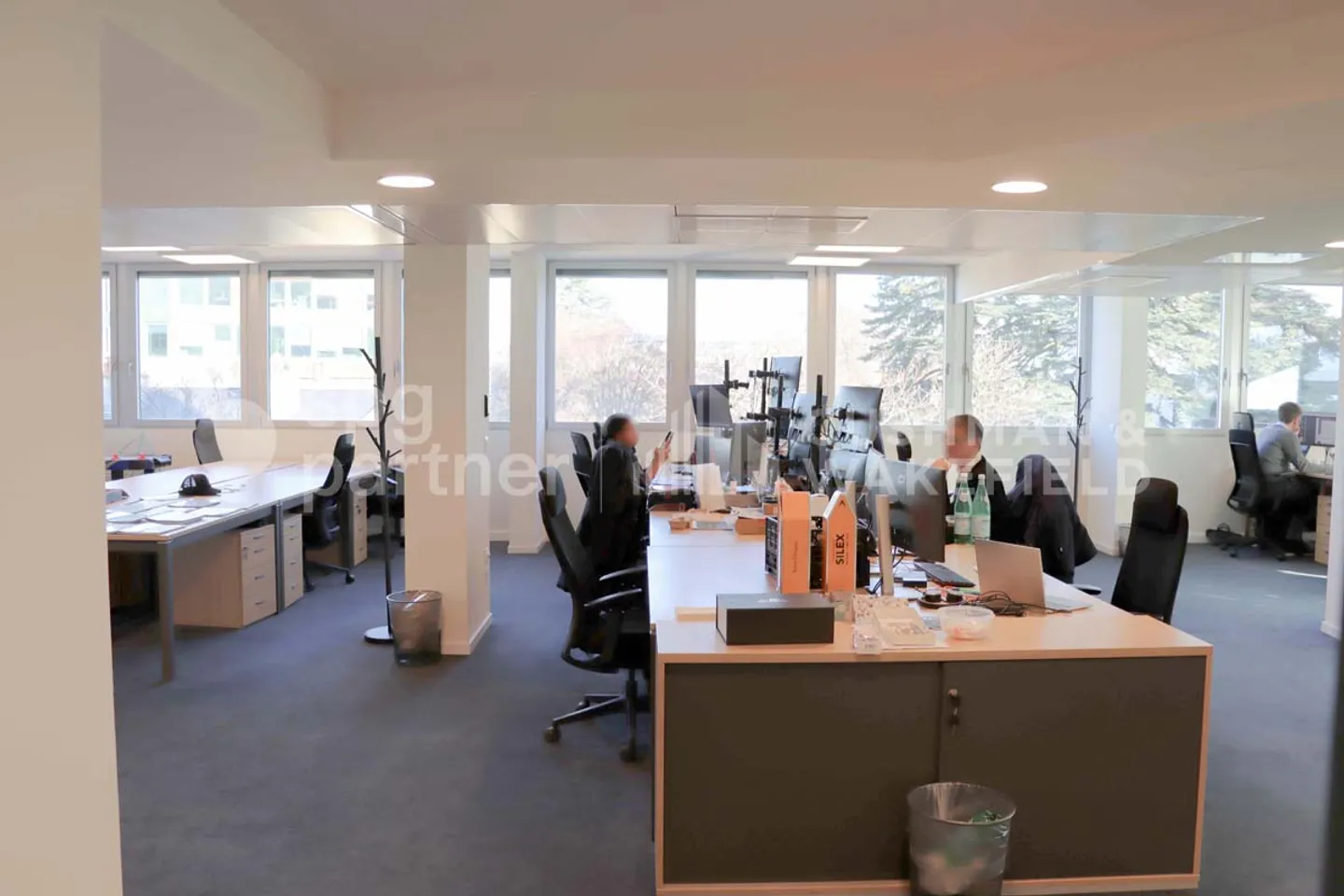 Ferdinand-Hodler 23 - Foto 2 von 8