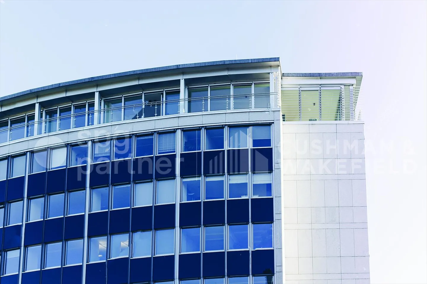 Ferdinand-Hodler 23 - Foto 8 von 8