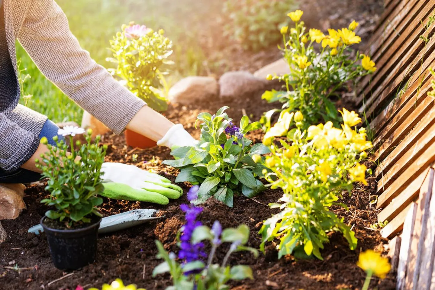 Ici, le rêve d'une maison avec jardin devient réalité. - Photo 6 sur 6