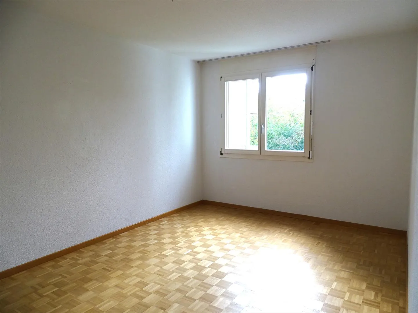 Vue sur le vert ! - Photo 8 sur 9