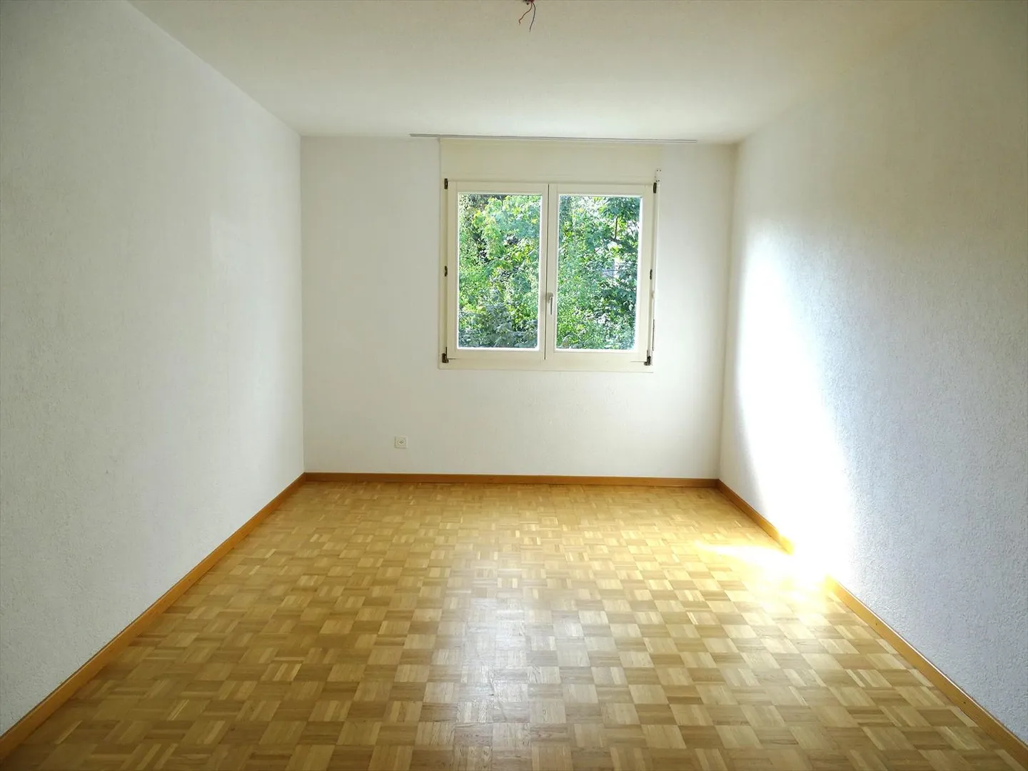 Vue sur le vert ! - Photo 7 sur 9