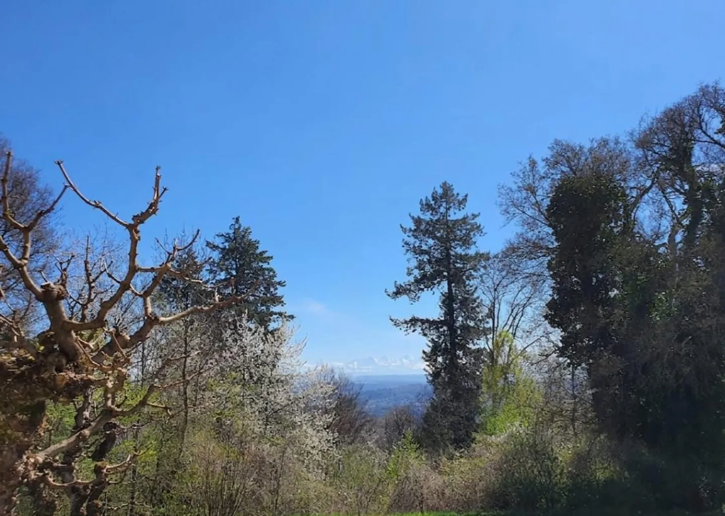 Harbor of Tranquility with Panoramic View and Private Garden in Evilard - Photo 12 of 12