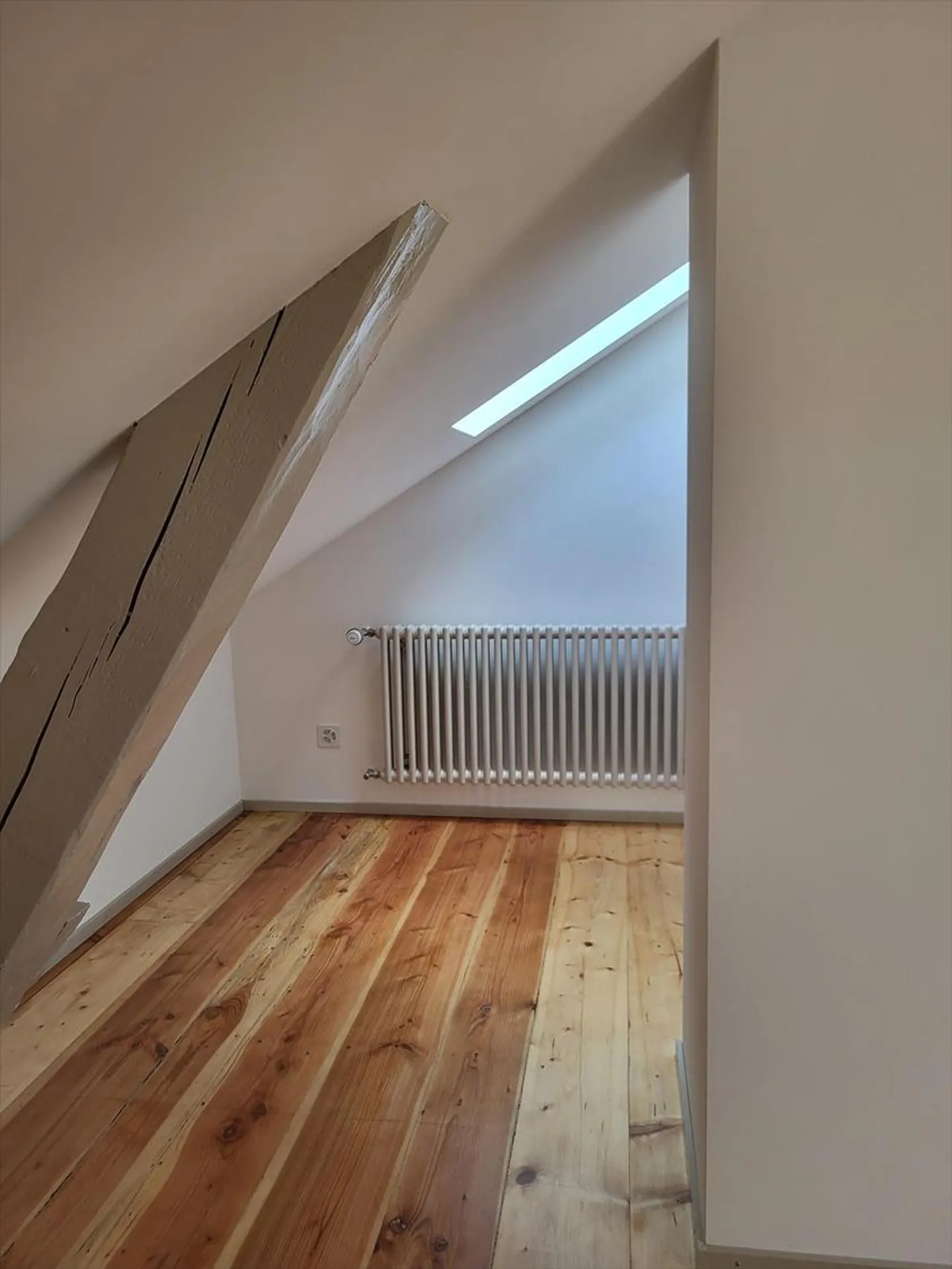 Magnificent duplex completely renovated with private garden - Photo 3 of 10