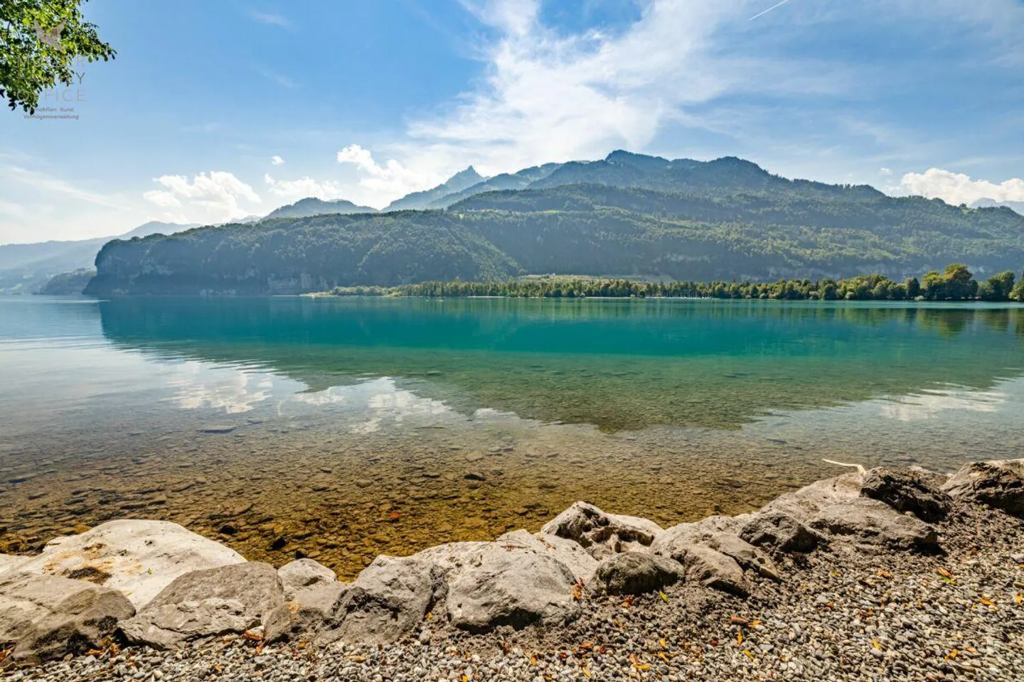 Luce, Aria, Lago: Villa esclusiva con accesso al lago e vecchi alberi - Foto 8 di 14