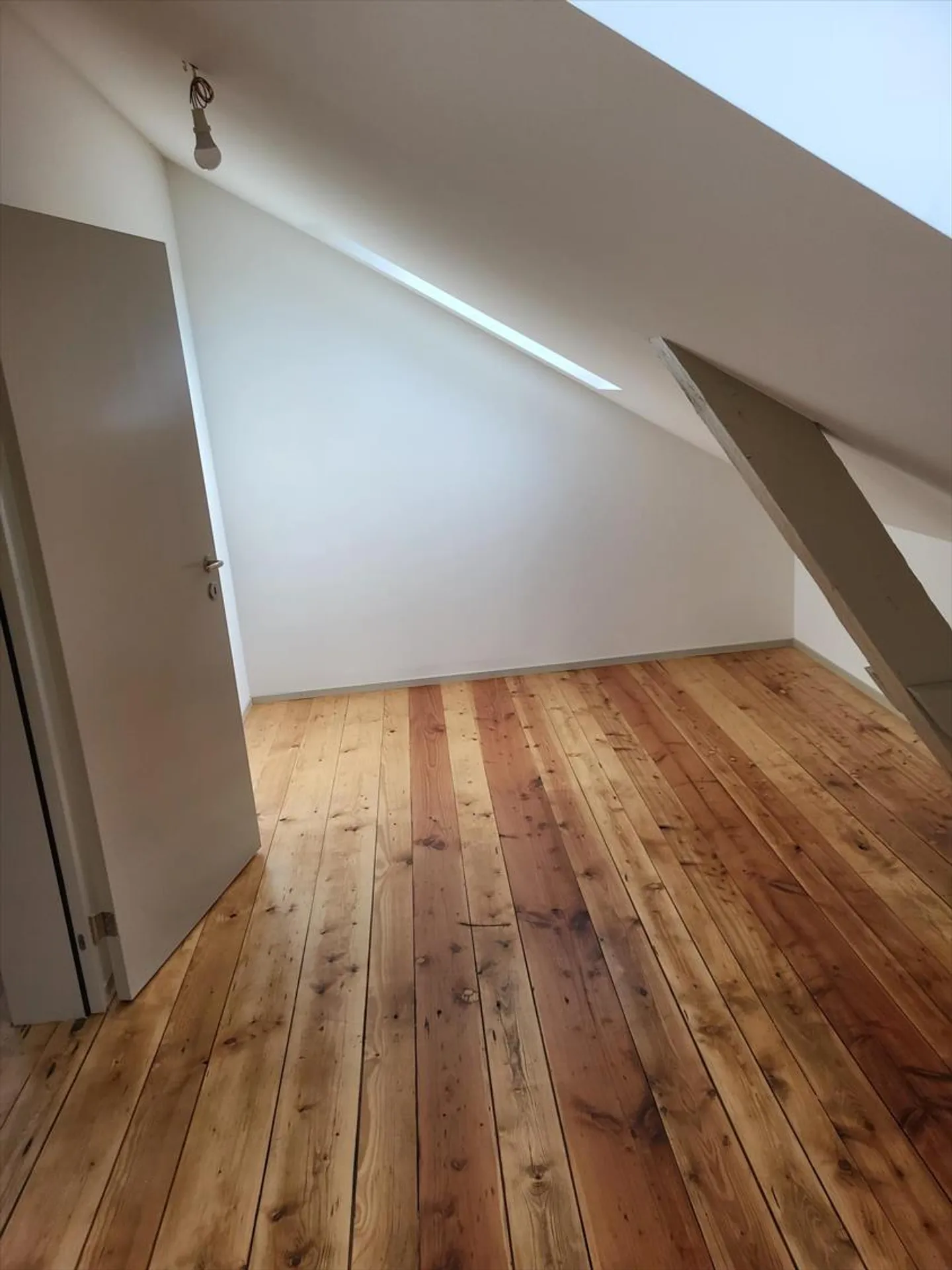 Magnificent duplex completely renovated with private garden - Photo 4 of 10