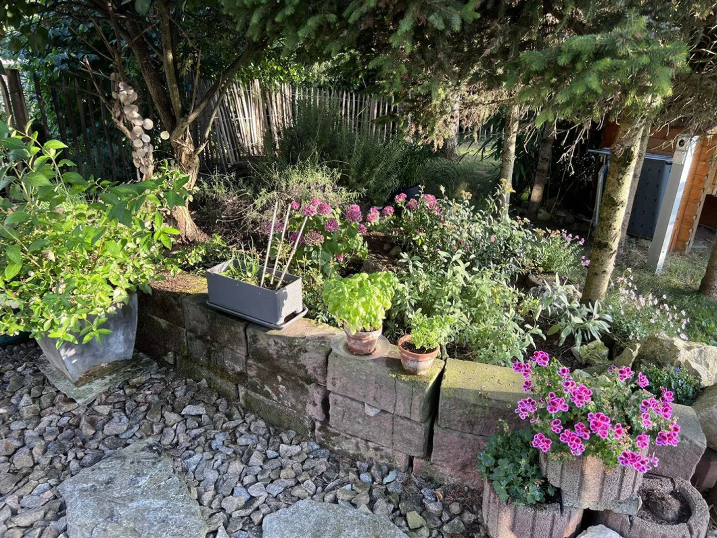 Maison individuelle de 5 1/2 pièces à louer à 4105 Biel-Benken BL - Photo 4 sur 25