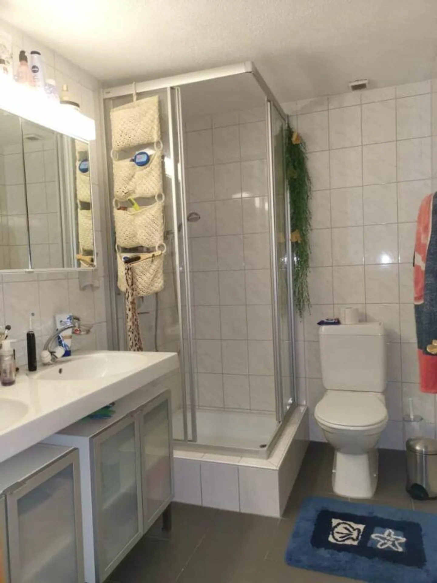 Accogliente appartamento duplex di 4,5 stanze con vista sul Reno - Foto 2 di 7