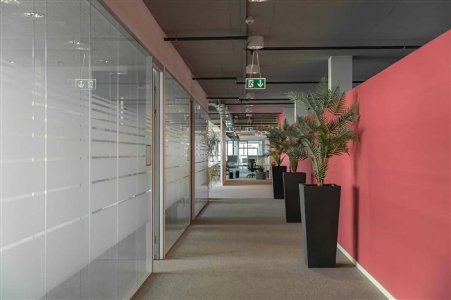 Luxuriöser Büroraum in Genf - Foto 4 von 7