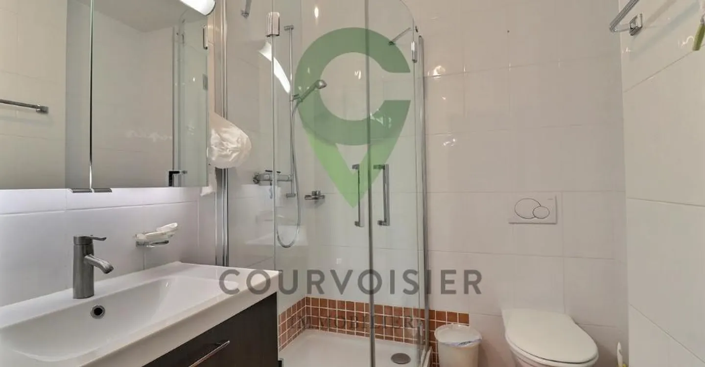 BEAUTIFUL 4.5 ROOM APARTMENT IN NYON - Photo 11 of 11