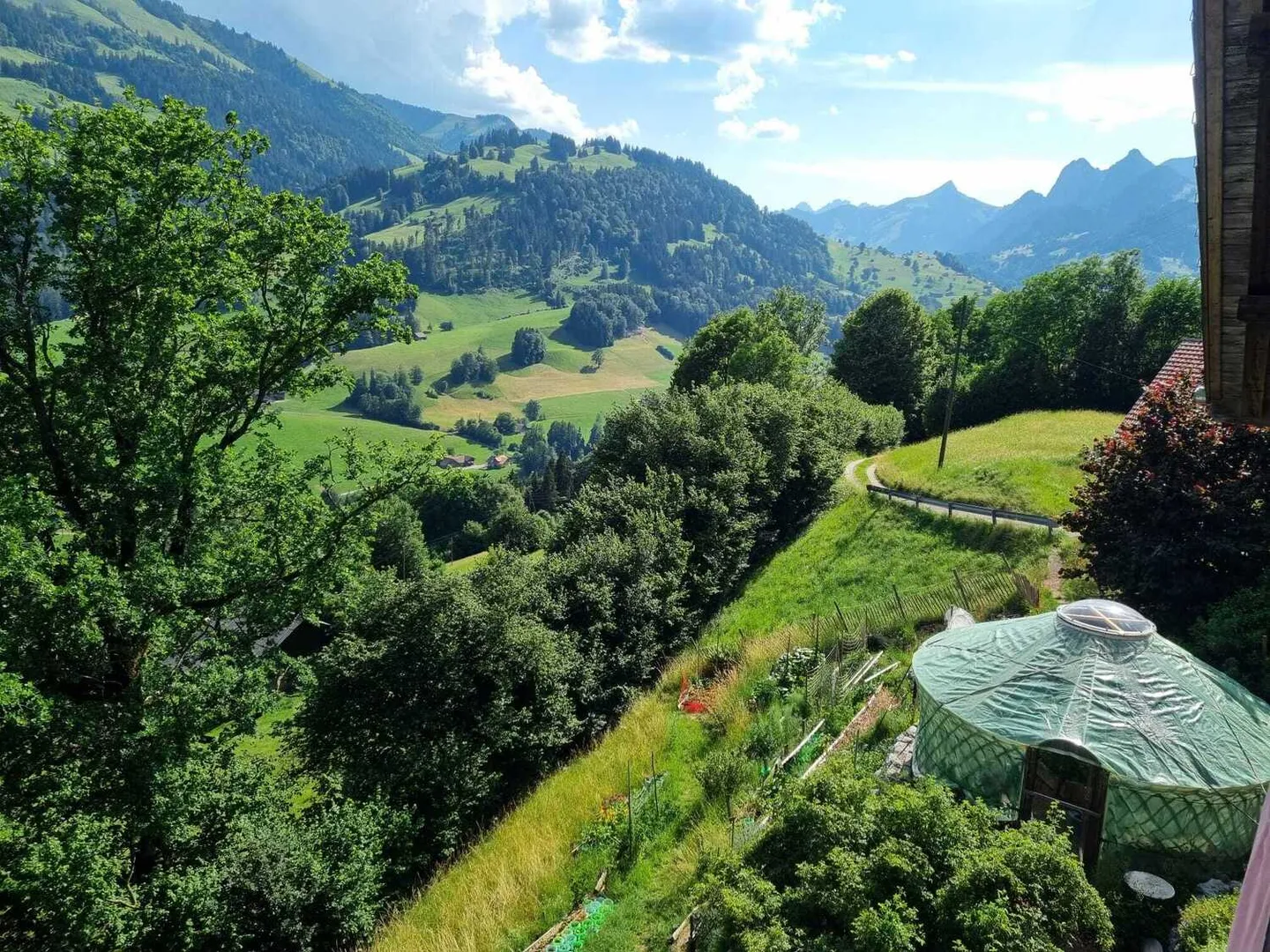 Appartamento Incantevole con Giardino - Foto 1 di 10