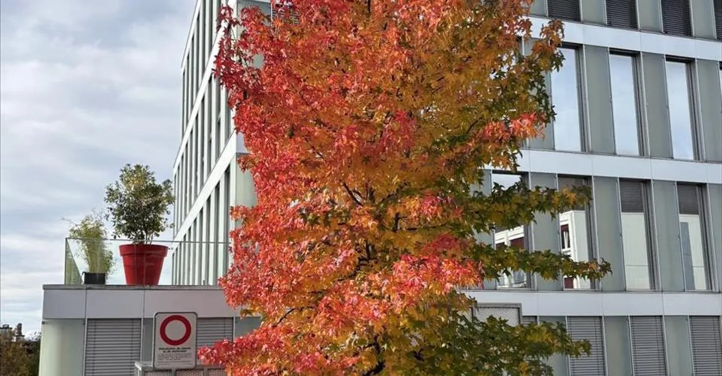 Bürofläche mieten - Foto 1 von 11