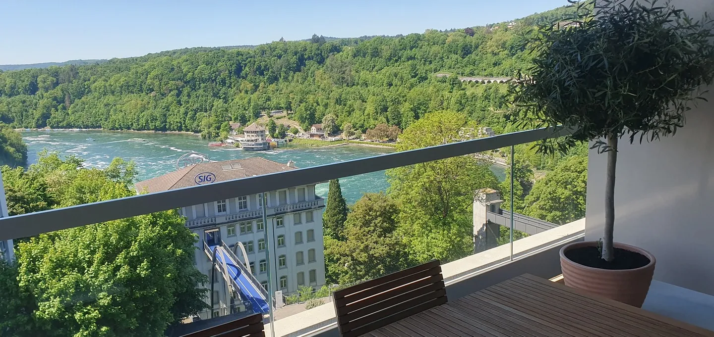 APPARTAMENTO 4½ STANZE A NEUHAUSEN AM RHEINFALL (SH), ARREDATO, TEMPORANEO - Foto 10 di 10