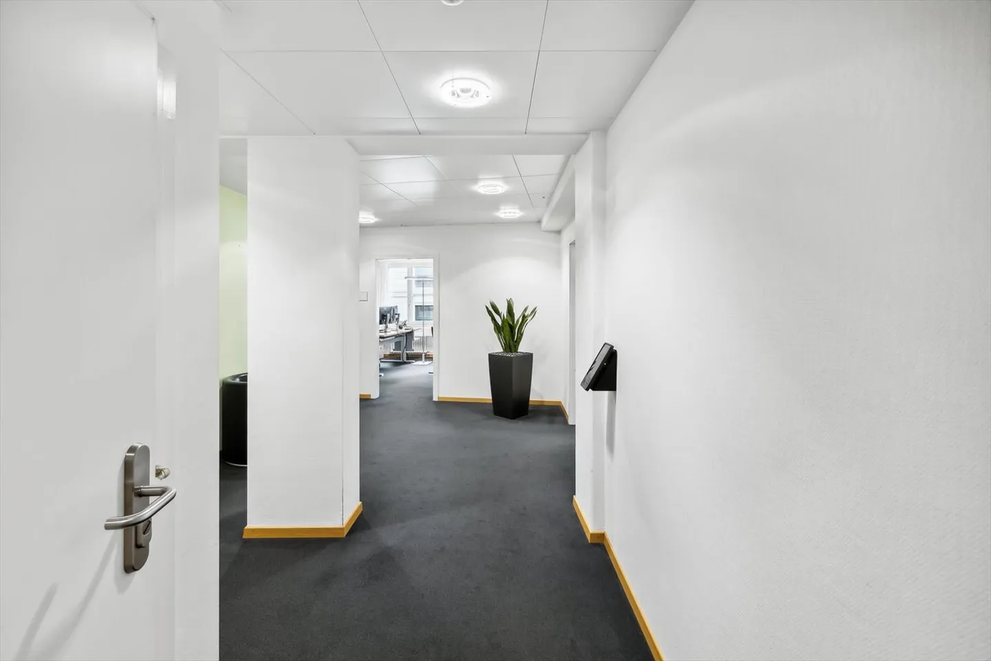Bureaux centraux au cœur de Saint-Gall - Photo 9 sur 11