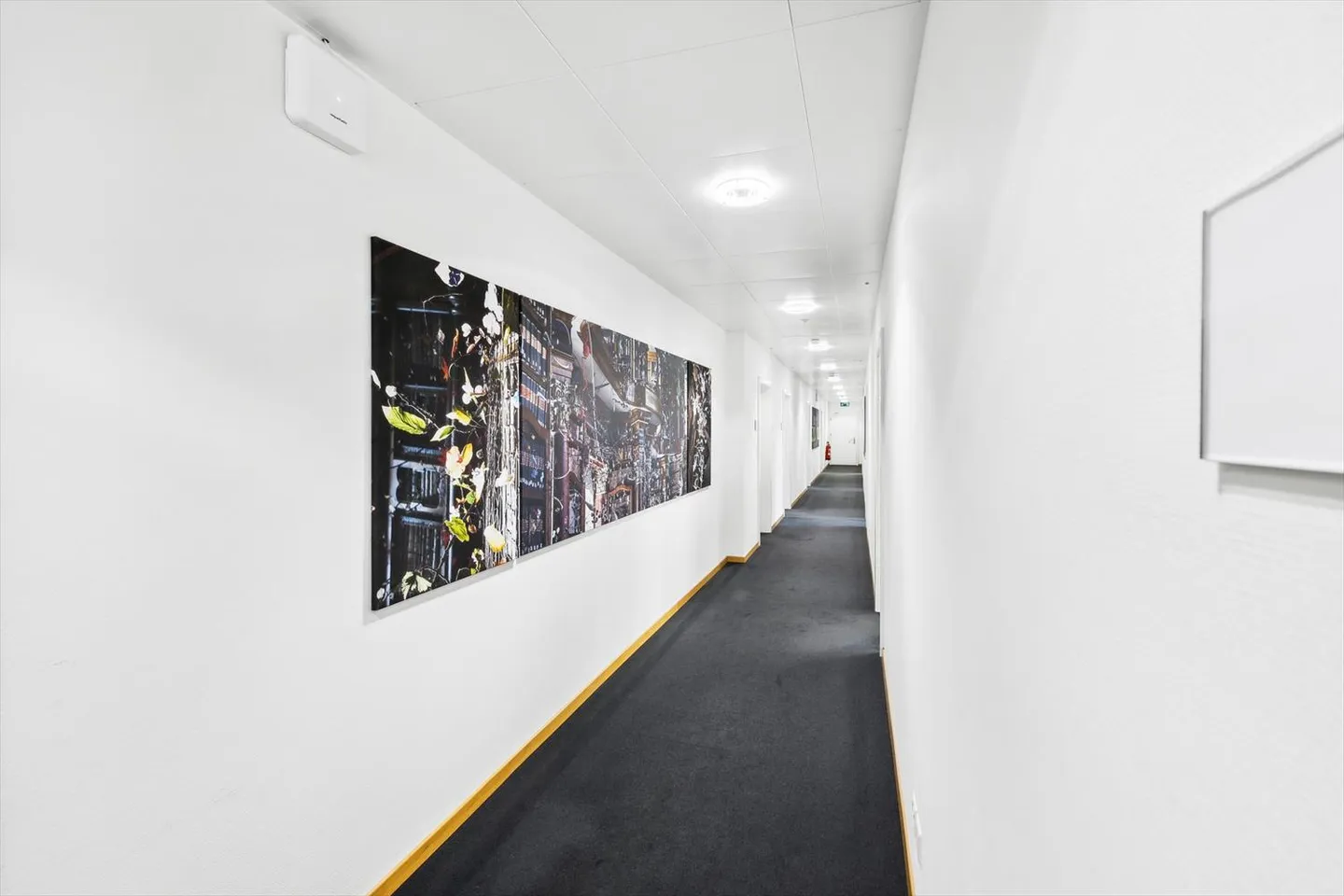 Bureaux centraux au cœur de Saint-Gall - Photo 10 sur 11