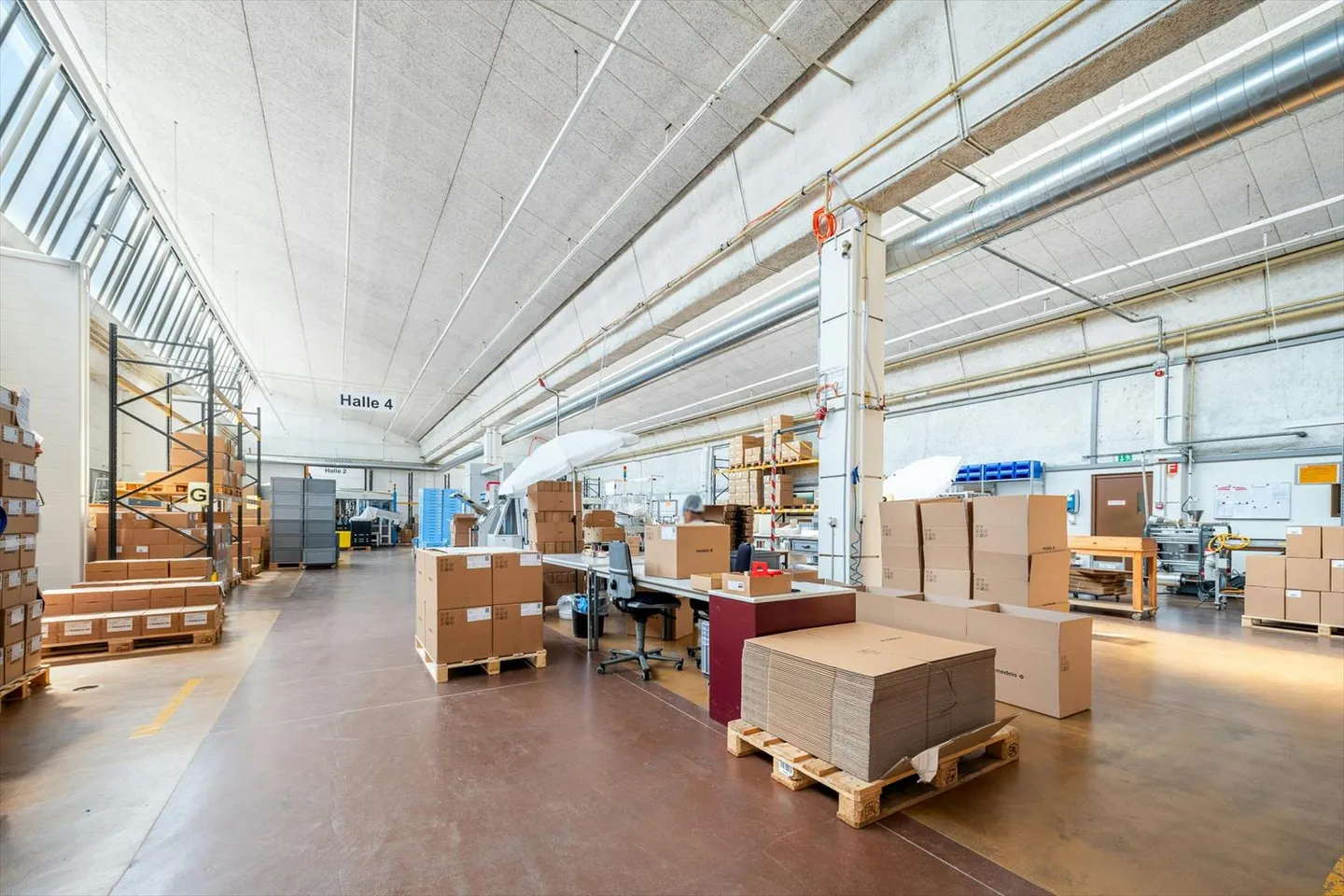 Hall de shed de 1'300 m2 de 5,5 m de haut avec zone de livraison généreuse, grandes portes, charge de sol élevée - Photo 4 sur 12