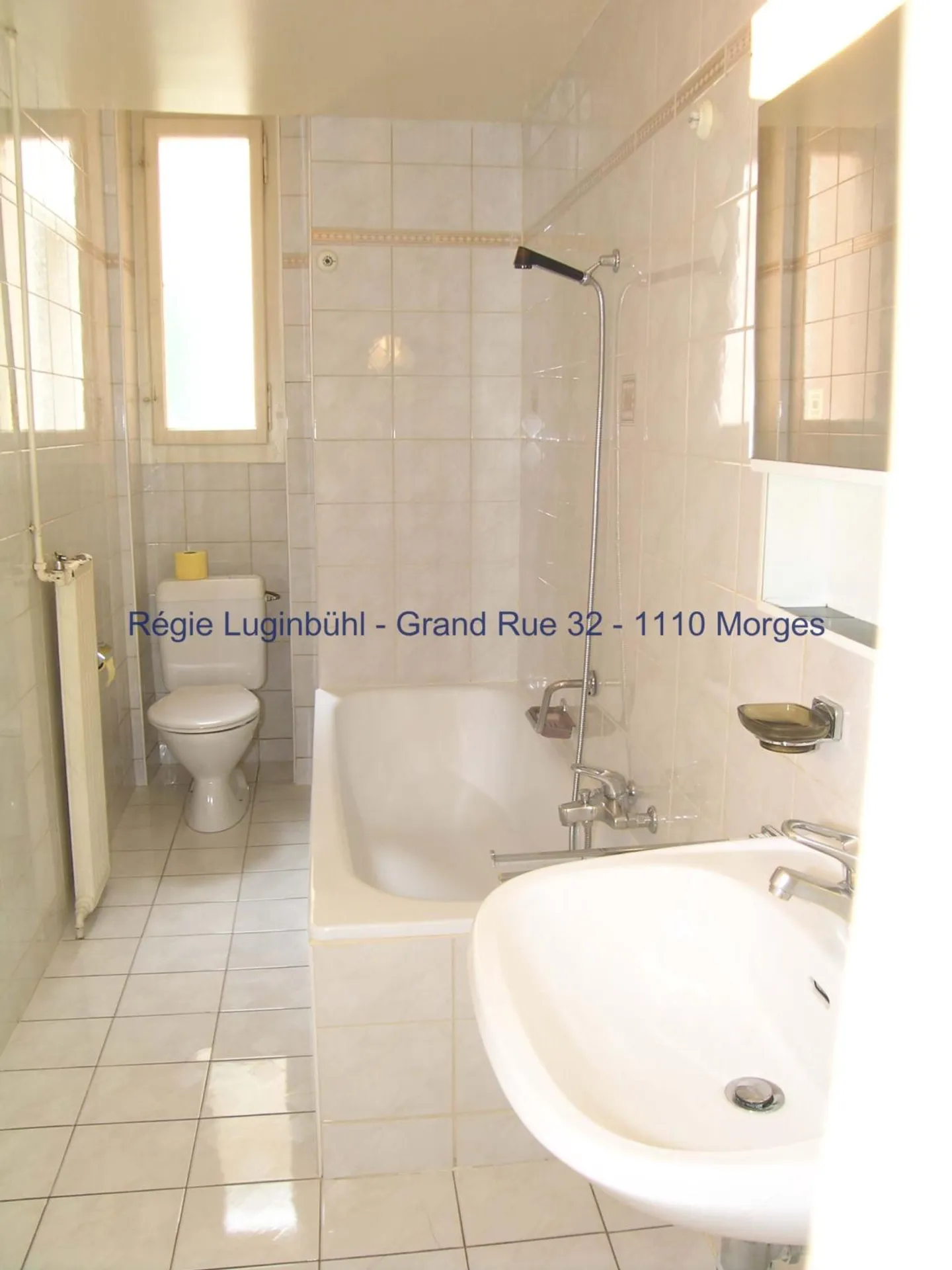 Appartamento 3.5 Stanze Incantevole - Foto 11 di 12