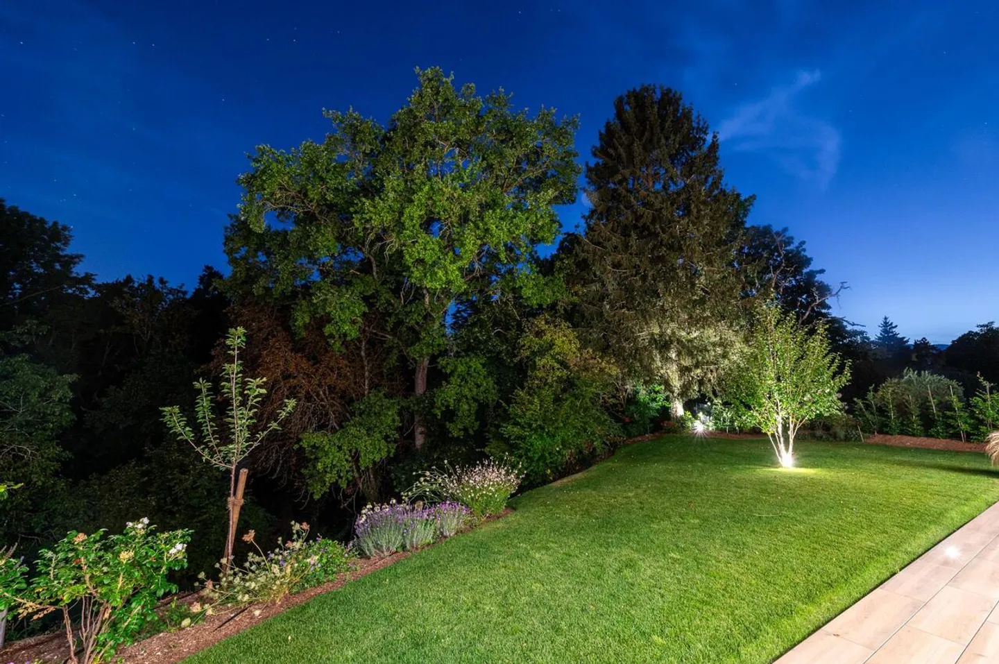 Bellissima villa contemporanea individuale ai margini della foresta - Foto 4 di 7