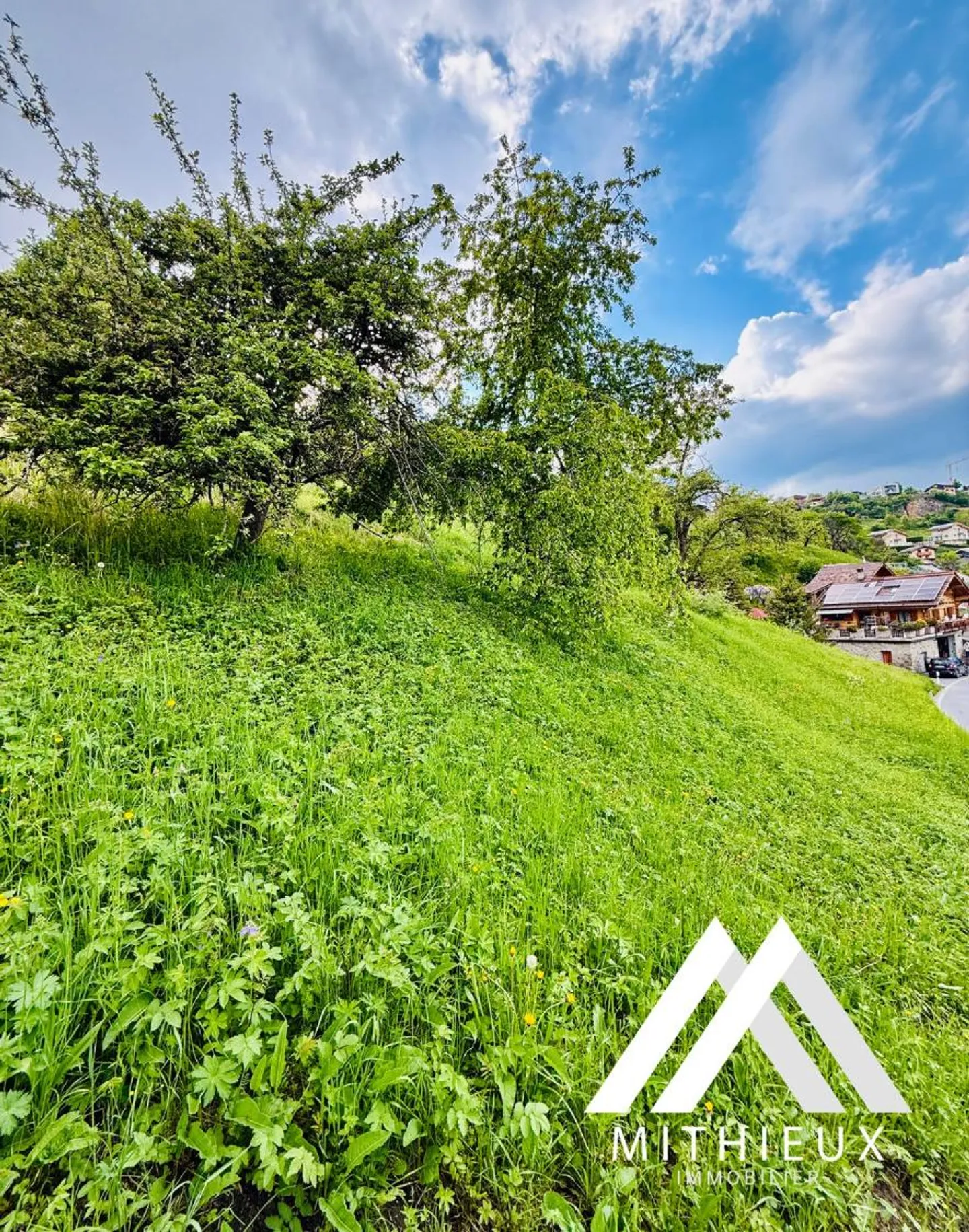 Building Plot 2648 m², Vex - Photo 3 of 5