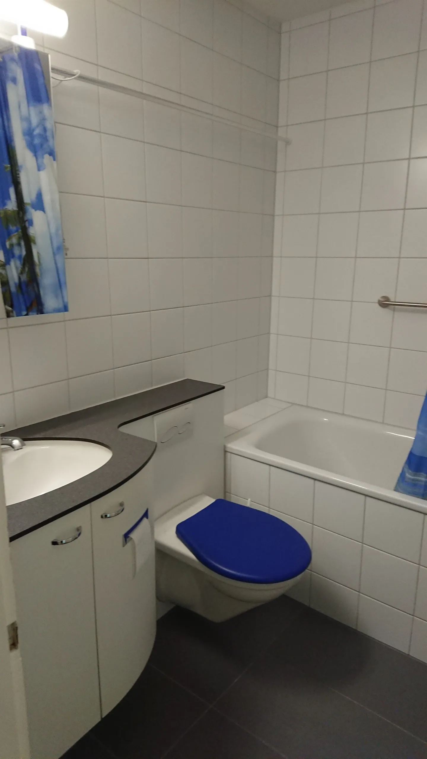 Modernes 2.5-Zimmer-Apartment - Foto 3 von 3