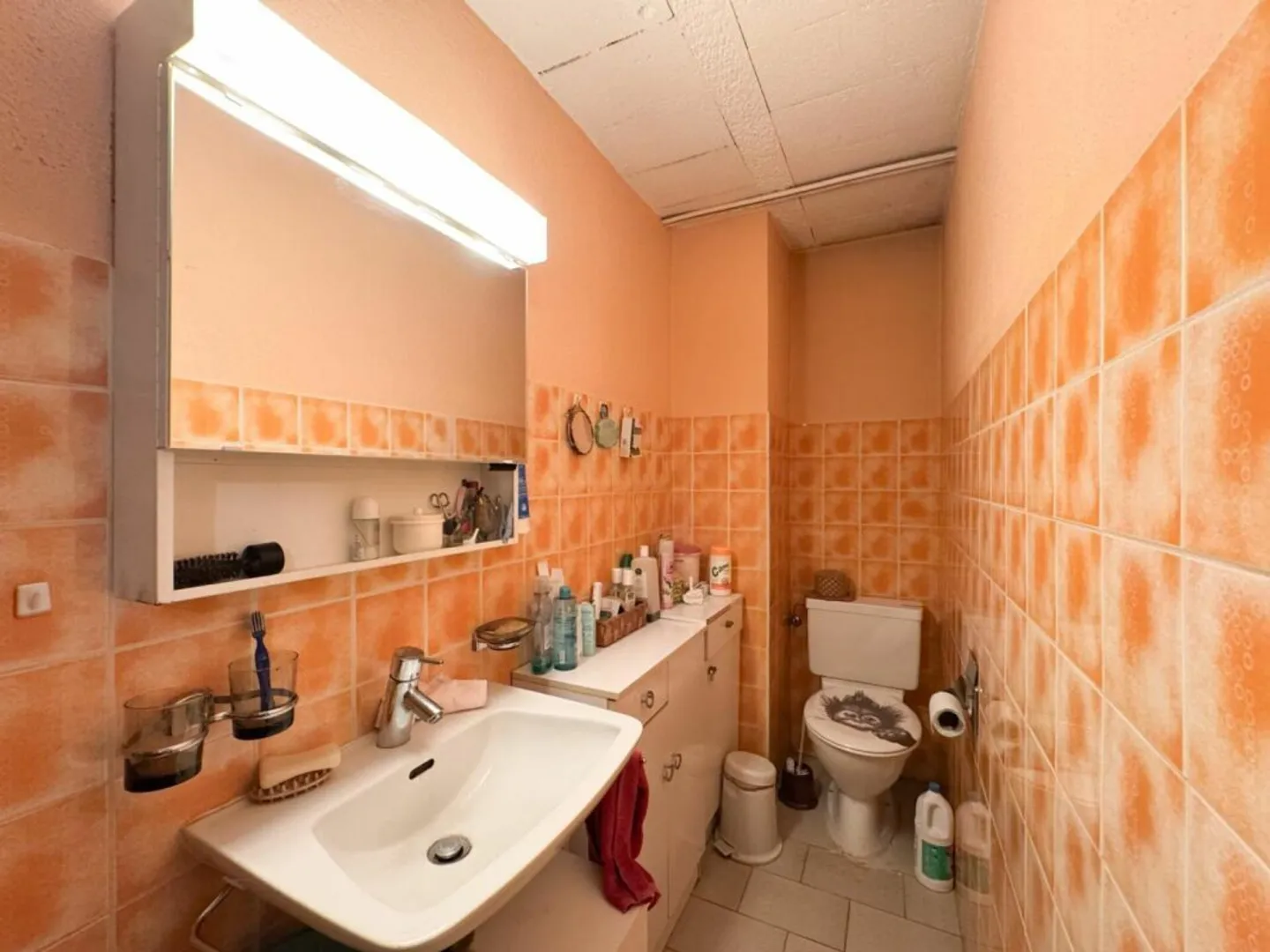 Villa with 7 rooms in Ardon - Photo 23 of 23