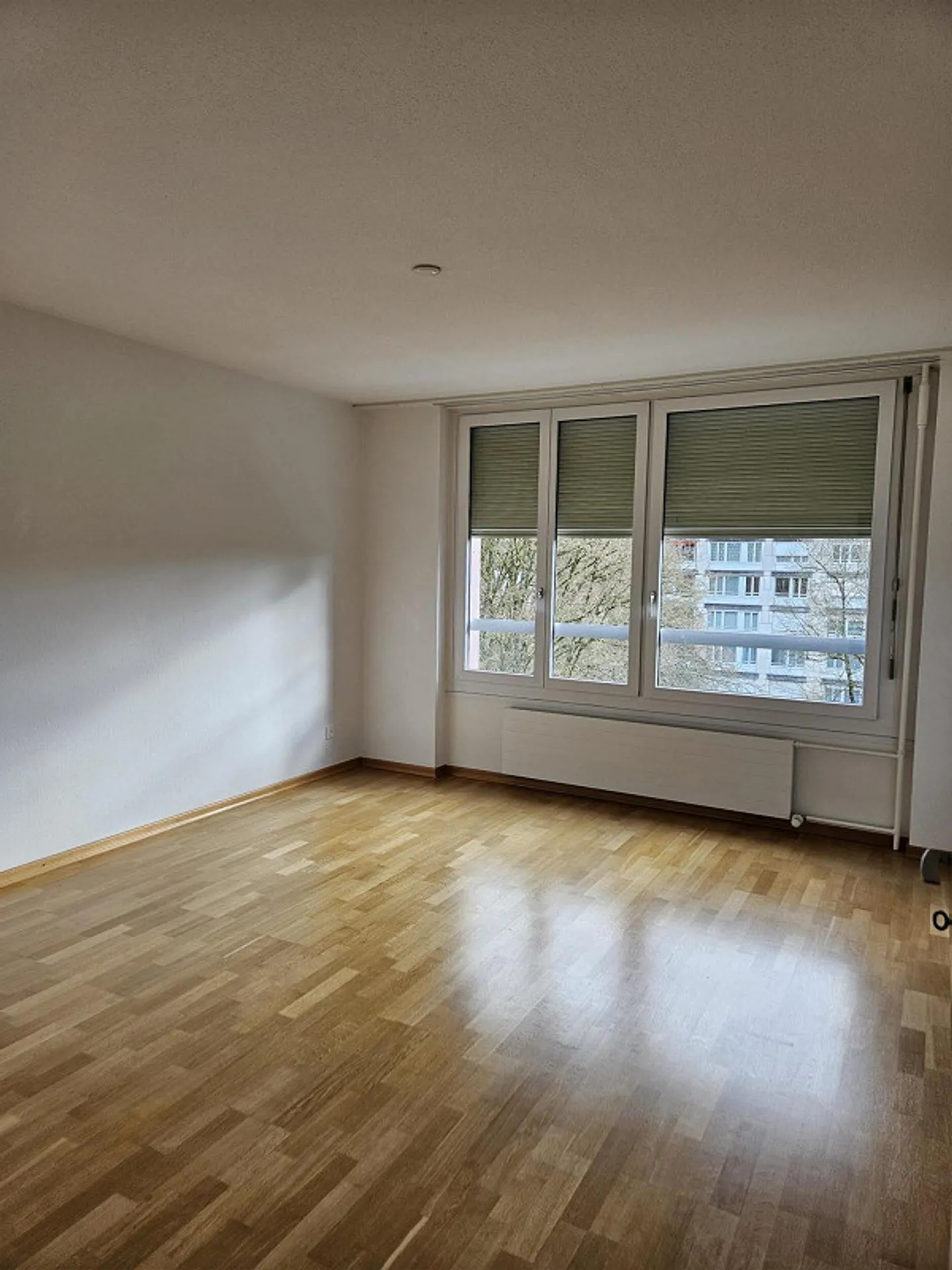 Living between Bern & Nature - Photo 11 of 12