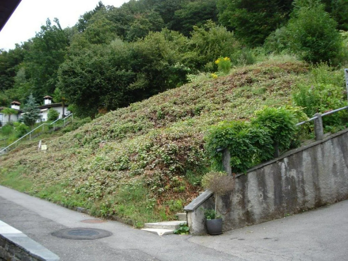 Bauland von 891 m2 Zone R2 und 2226m2 Wald an sehr ruhiger Seesicht... - Foto 2 von 6