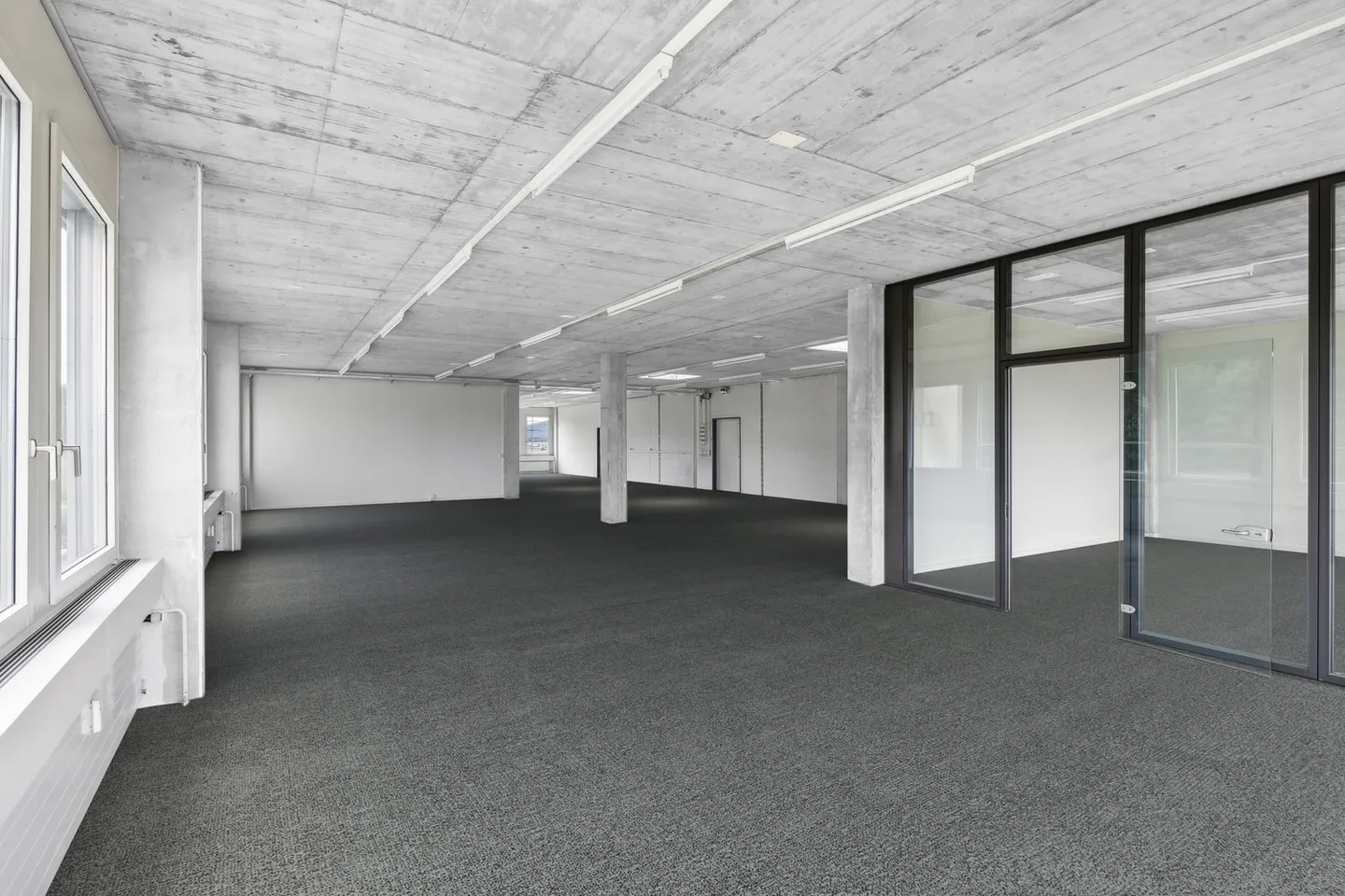 Camere con vista sul verde - Siloring Dintikon - Foto 7 di 9