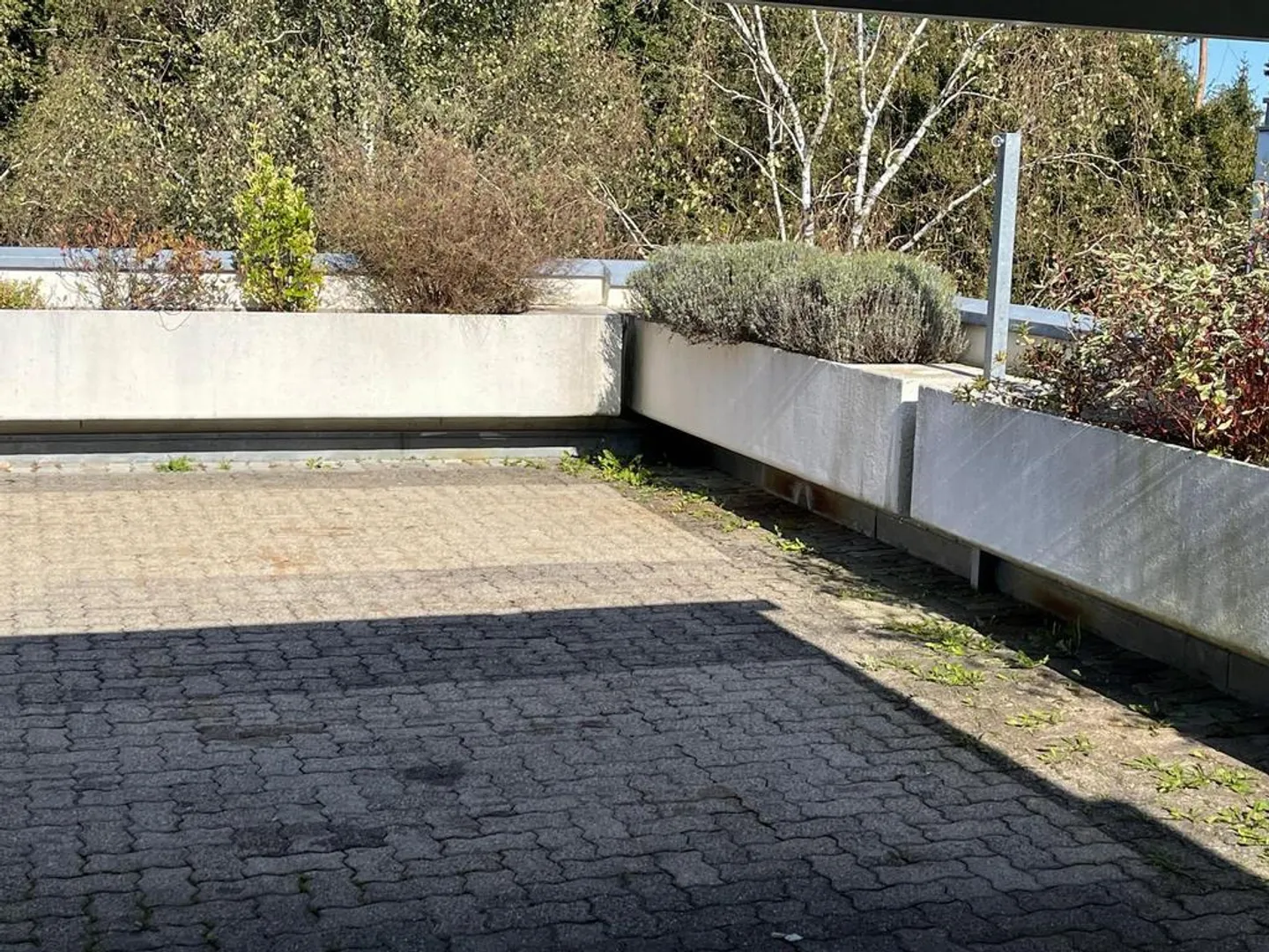 Appartement spacieux de 5,5 pièces à Benglen - Photo 11 sur 11