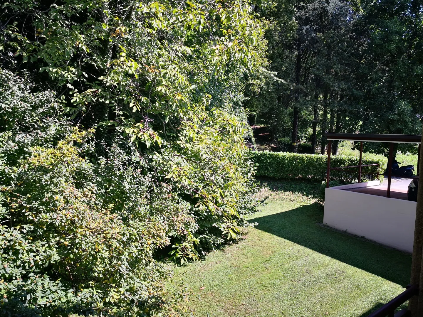 Affittasi a Pregassona monolocale in zona tranquilla - Foto 6 di 6