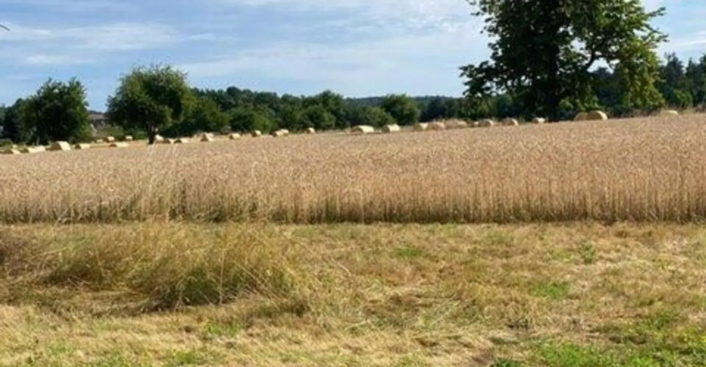 Wunderschöne Einfamilienvilla - Foto 9 von 13