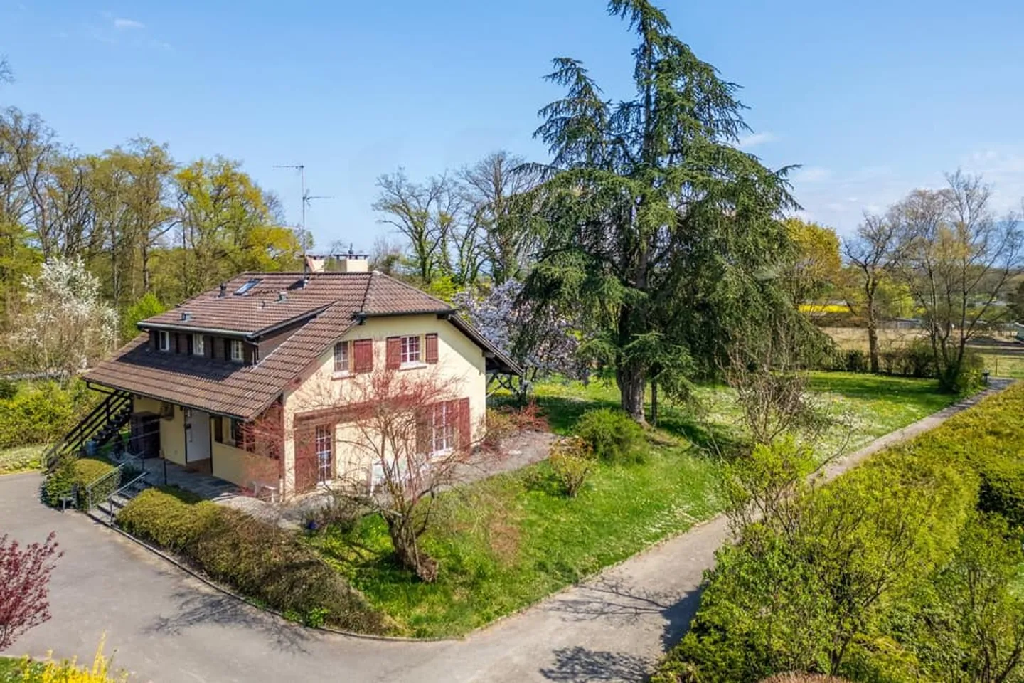 In Co-exclusivity: Spacious Family Home with Adjacent Forest - Photo 2 of 13