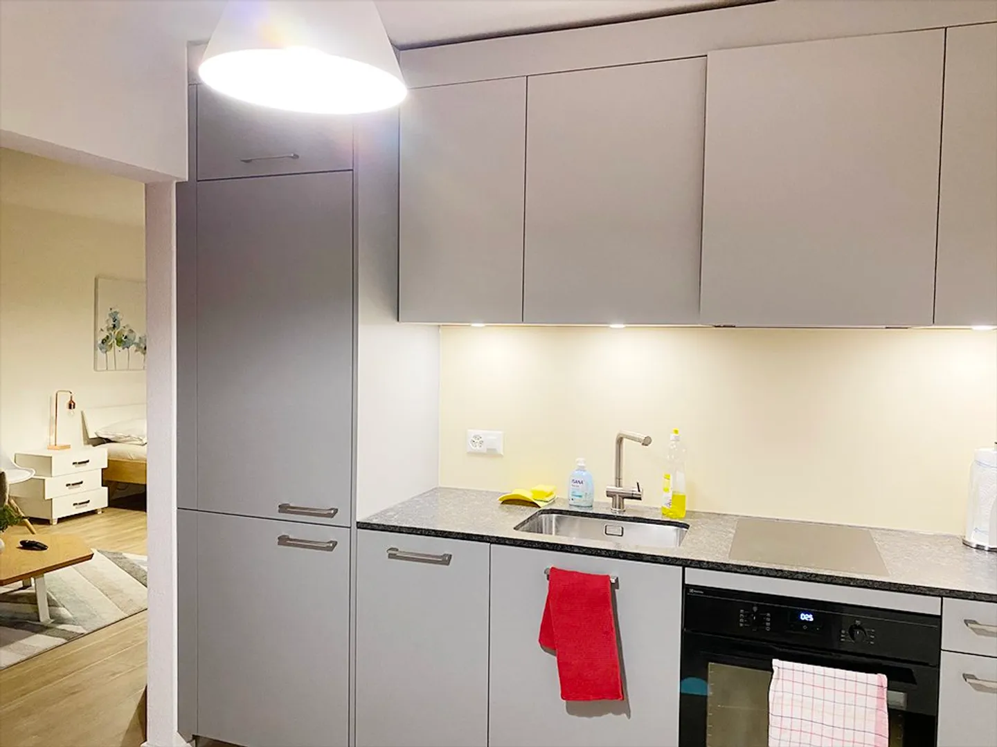🏡 Appartamento 1,5 stanze completamente arredato in affitto – Ueberlandstrasse, 8051 Zurigo - Foto 8 di 10