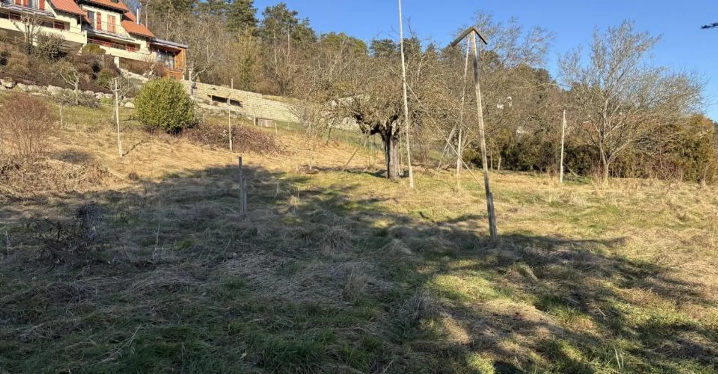 Terreno Eccezionale - Foto 2 di 4