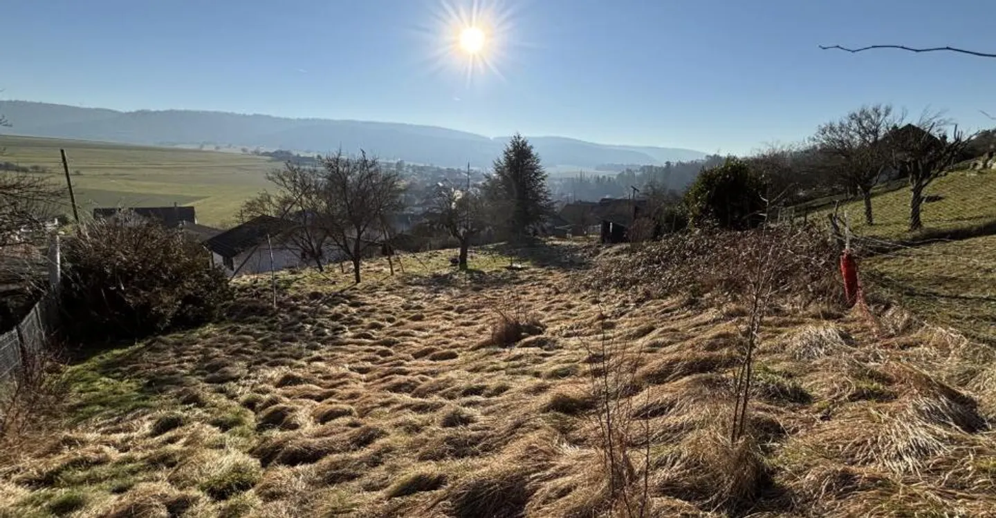 Terreno Eccezionale - Foto 4 di 4