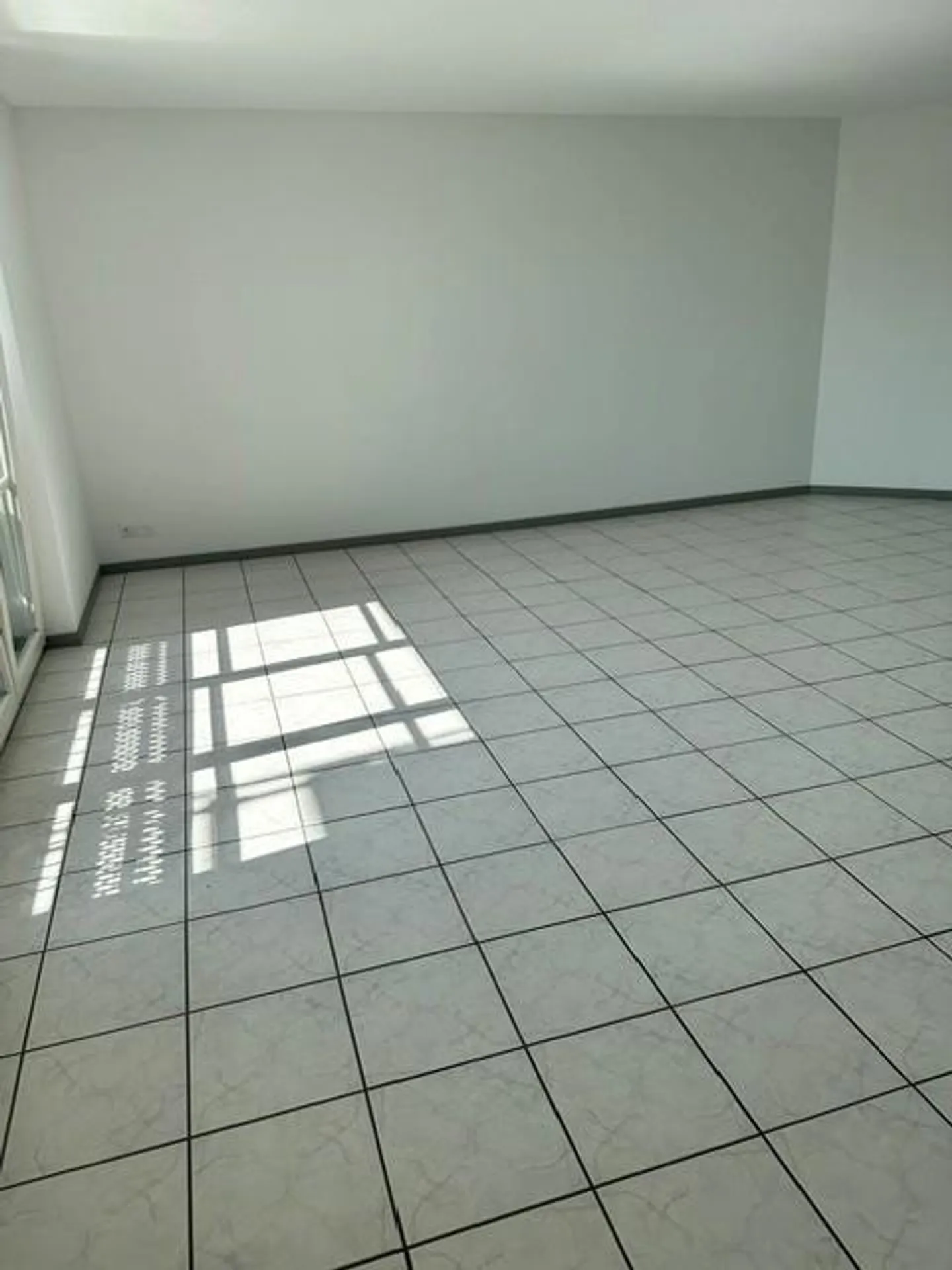 Spacious Family Apartment in Wildegg - Photo 1 of 9