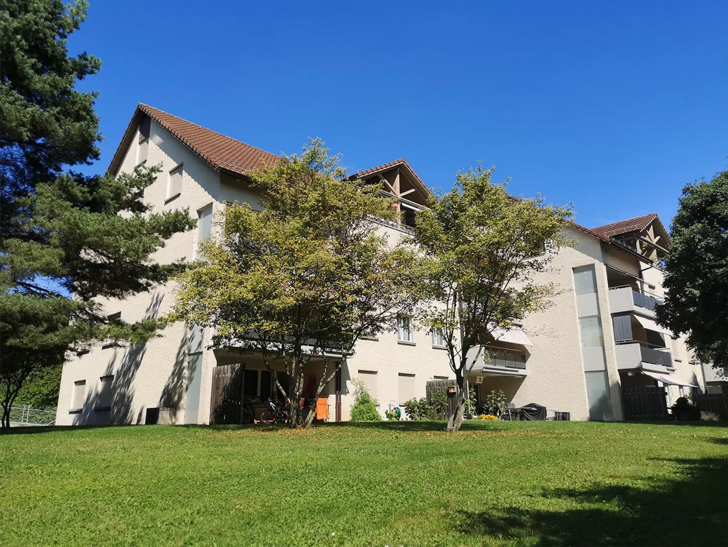 Large Cooperative Apartment Seeks a New Family! - Photo 1 of 13