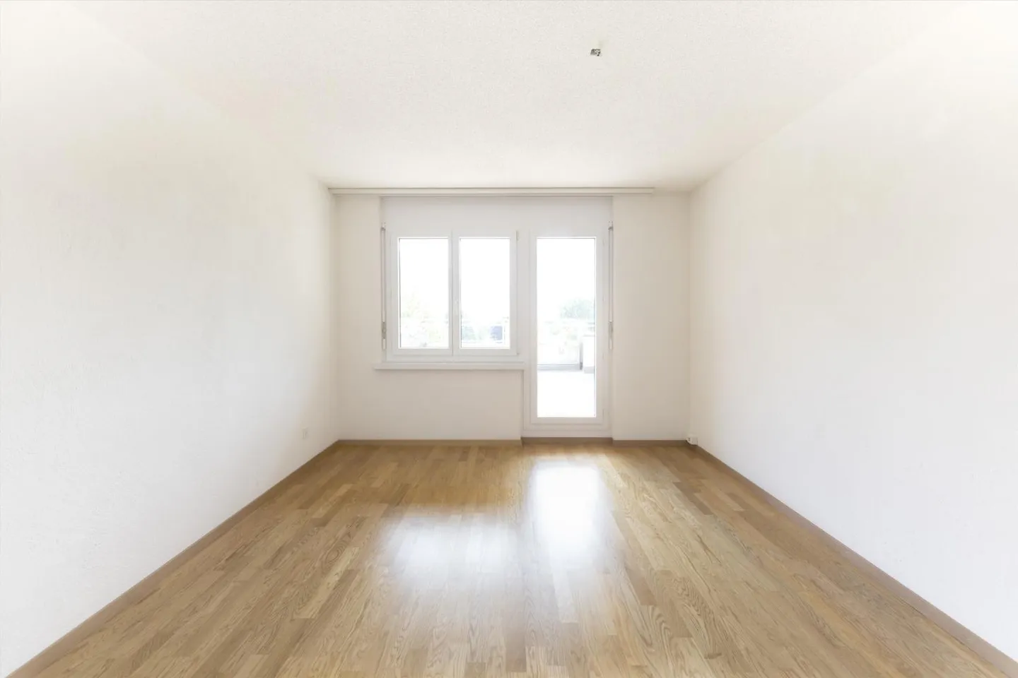 Affitto senza deposito - Appartamento soleggiato nel quartiere del Reno con terrazza cercasi? - Foto 8 di 9