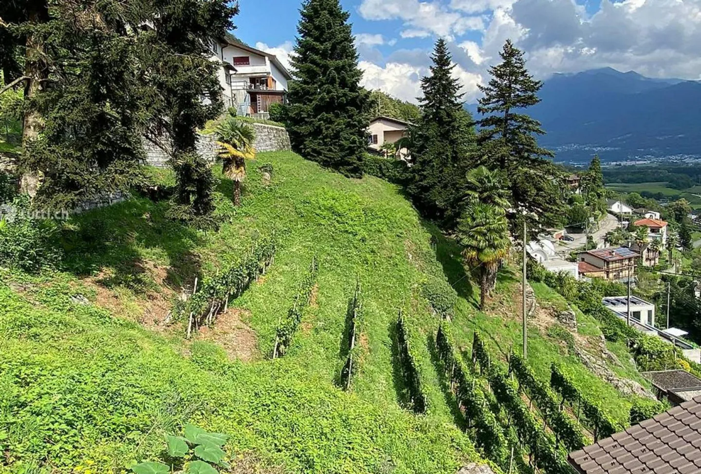 Terreno edificabile di 420 m2 Zona R2 in una posizione molto soleggiata con vista lago... - Foto 1 di 9