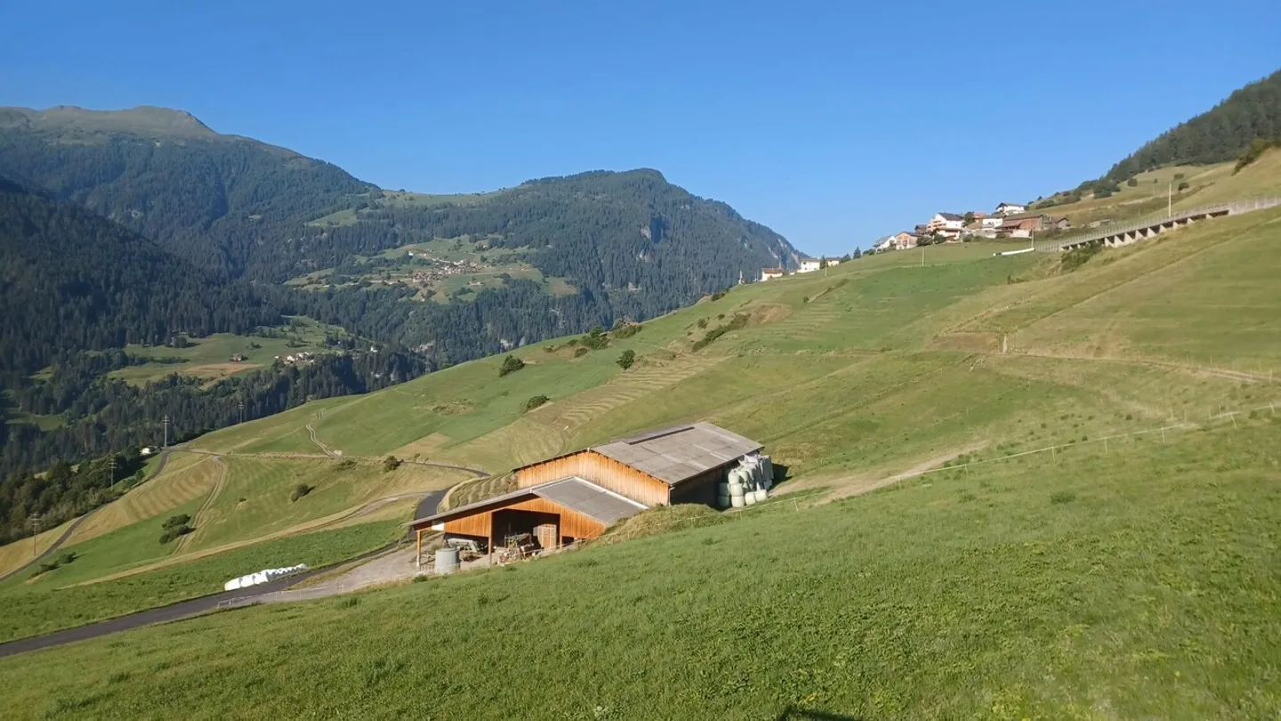Appartamento 3.5 locali - La tua casa da sogno vicino a Lenzerheide (OG-App. 2.3) - Foto 5 di 6