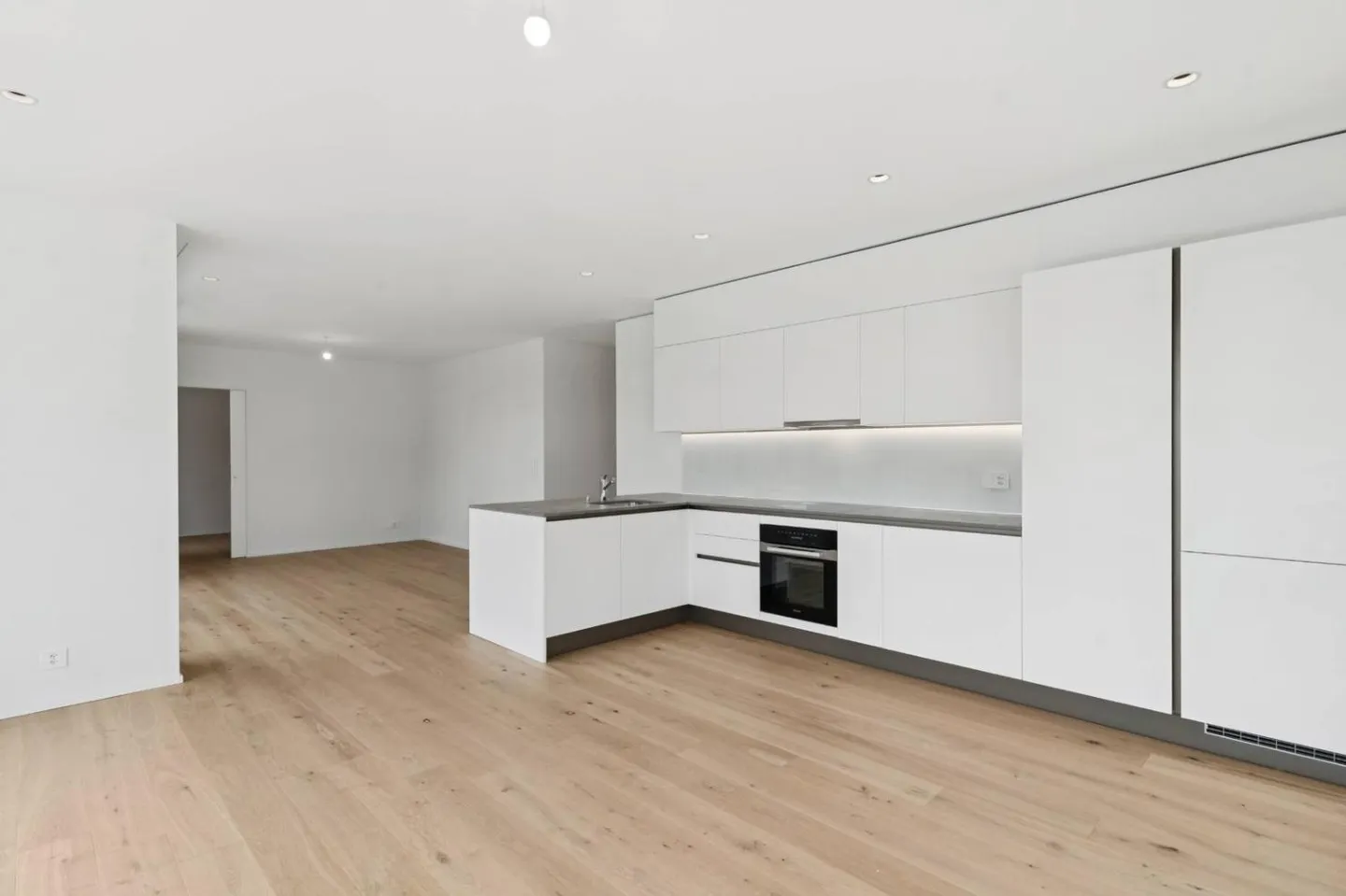 Magnificent new penthouse surrounded by a green panorama - E3.5 - Photo 5 of 13
