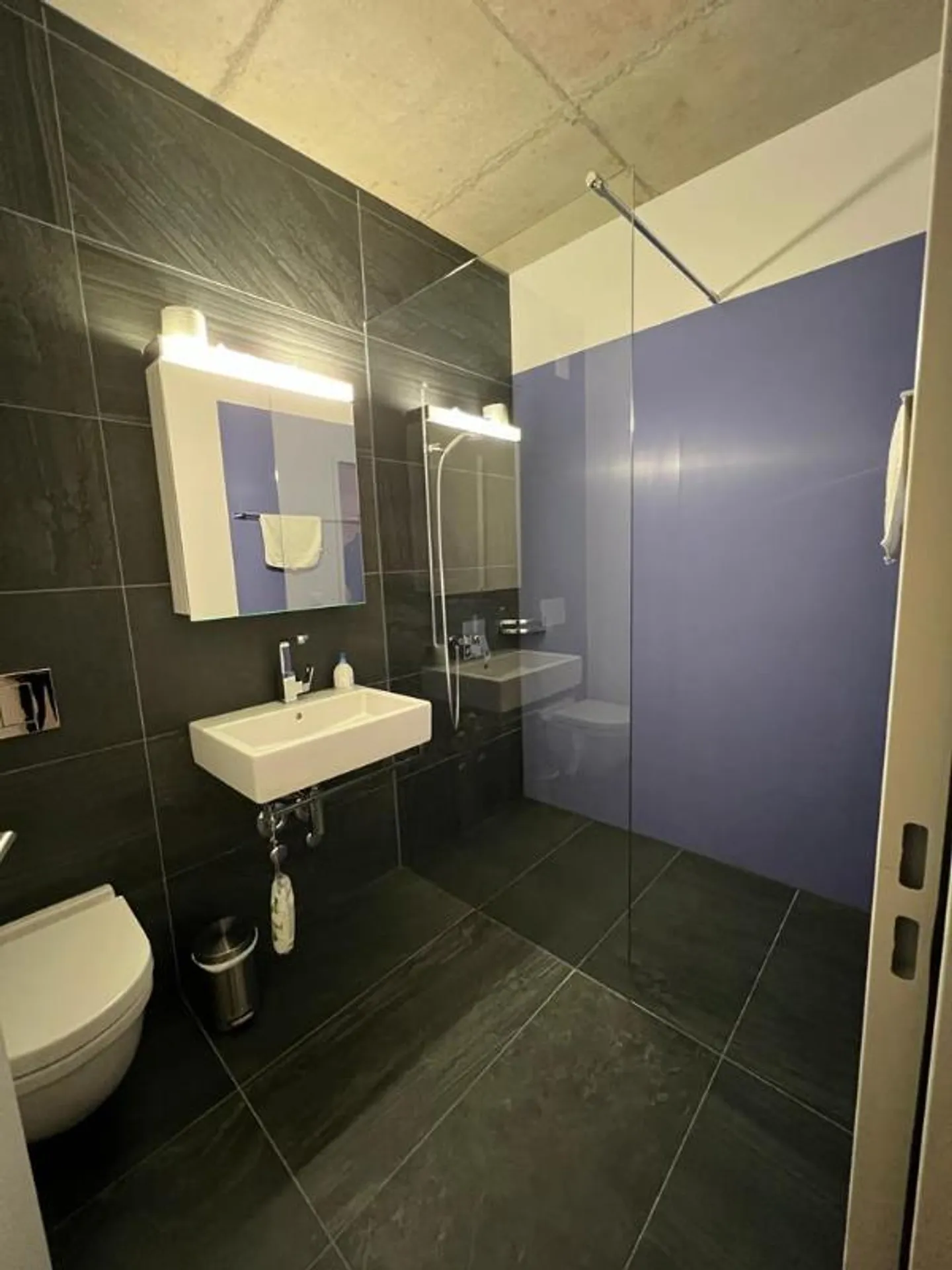 Uffici moderni con terrazza e vista sulla città a Regensdorf - Foto 3 di 5