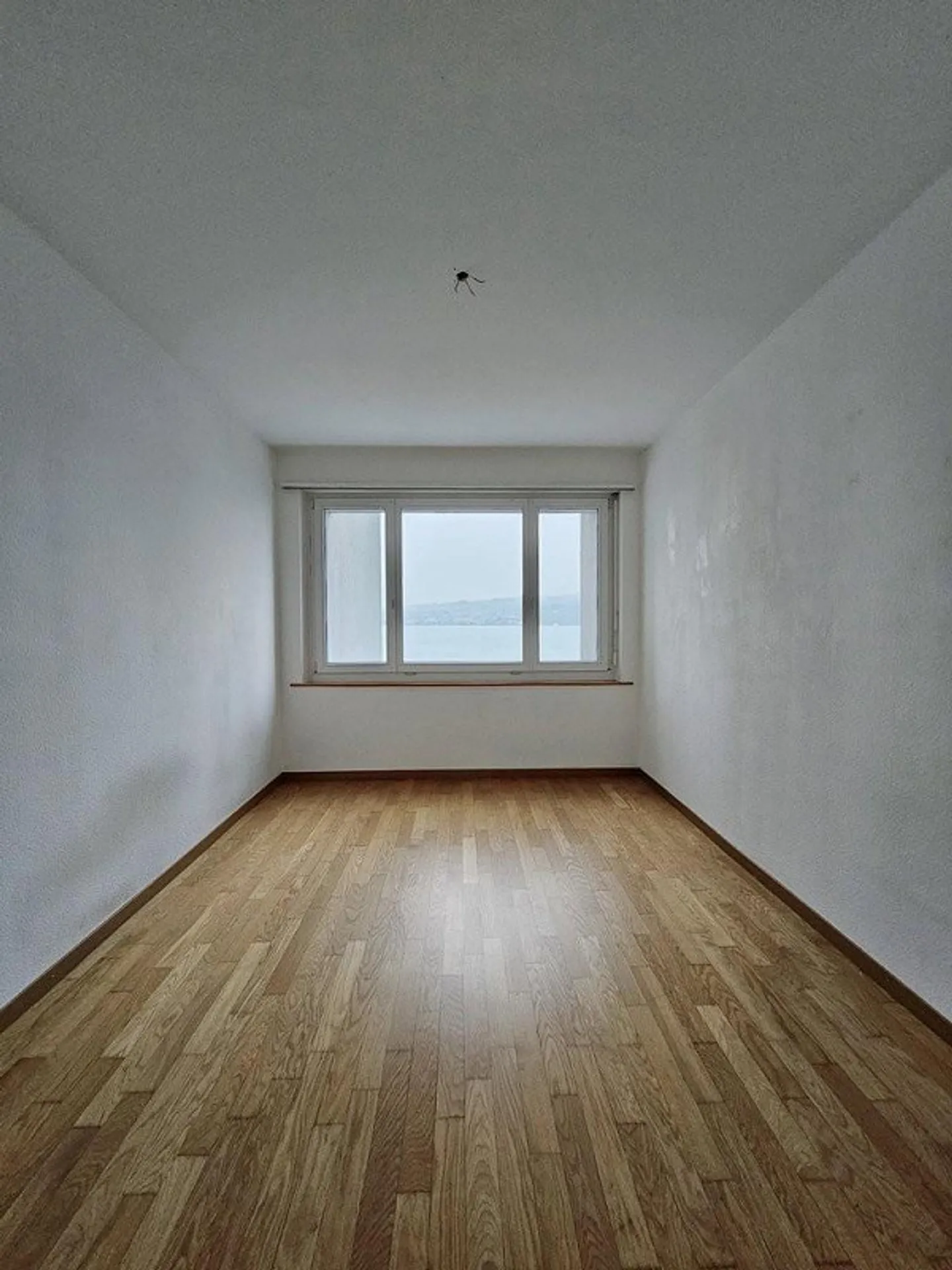 Vivere con vista sul lago - Foto 8 di 11