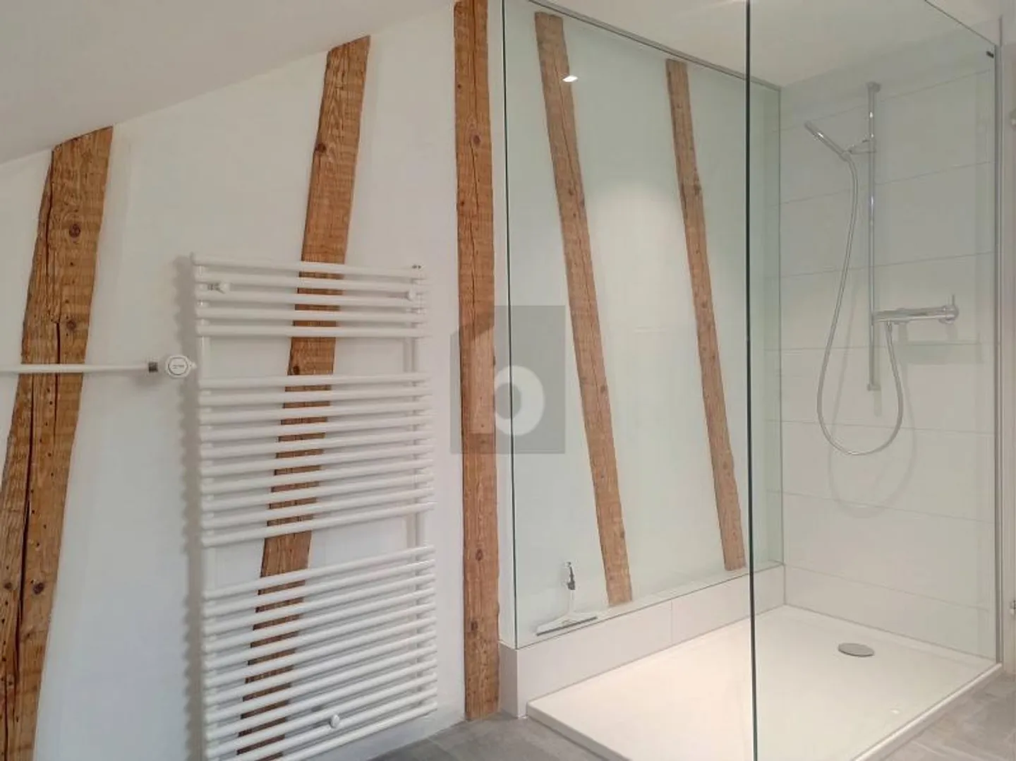 CENTRALE CON TERRAZZA SUL TETTO E GIARDINO - Foto 3 di 4