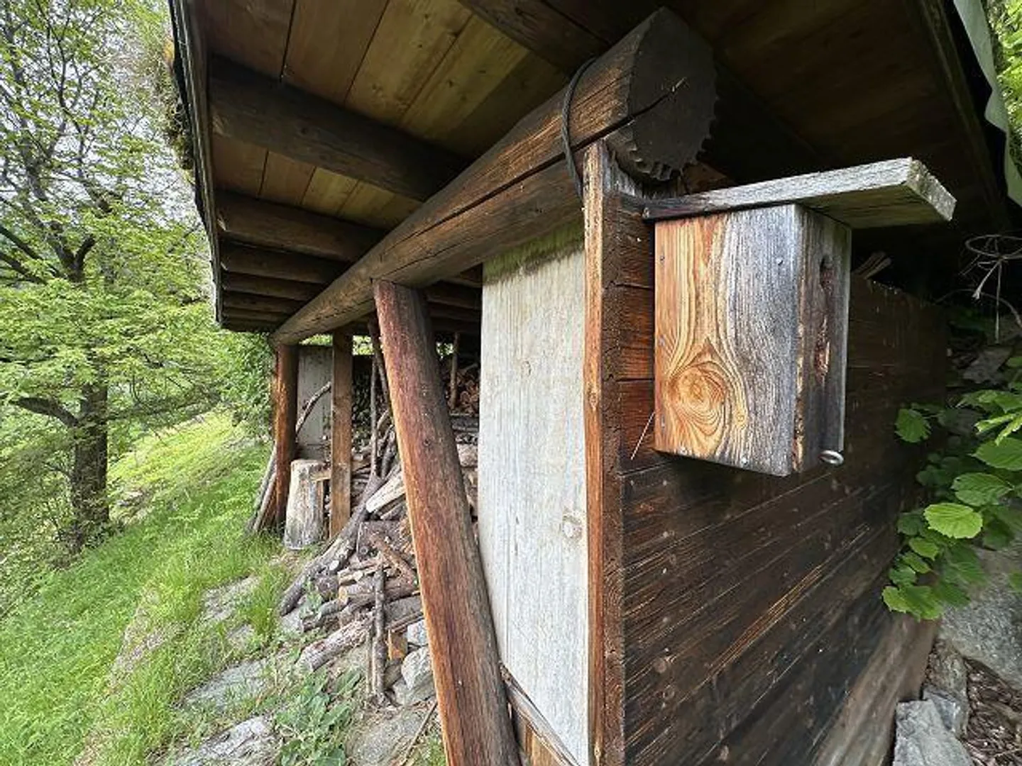 rustico di 2 1/2 loc.  molto tranquilla, soleggiata - Foto 17 di 33