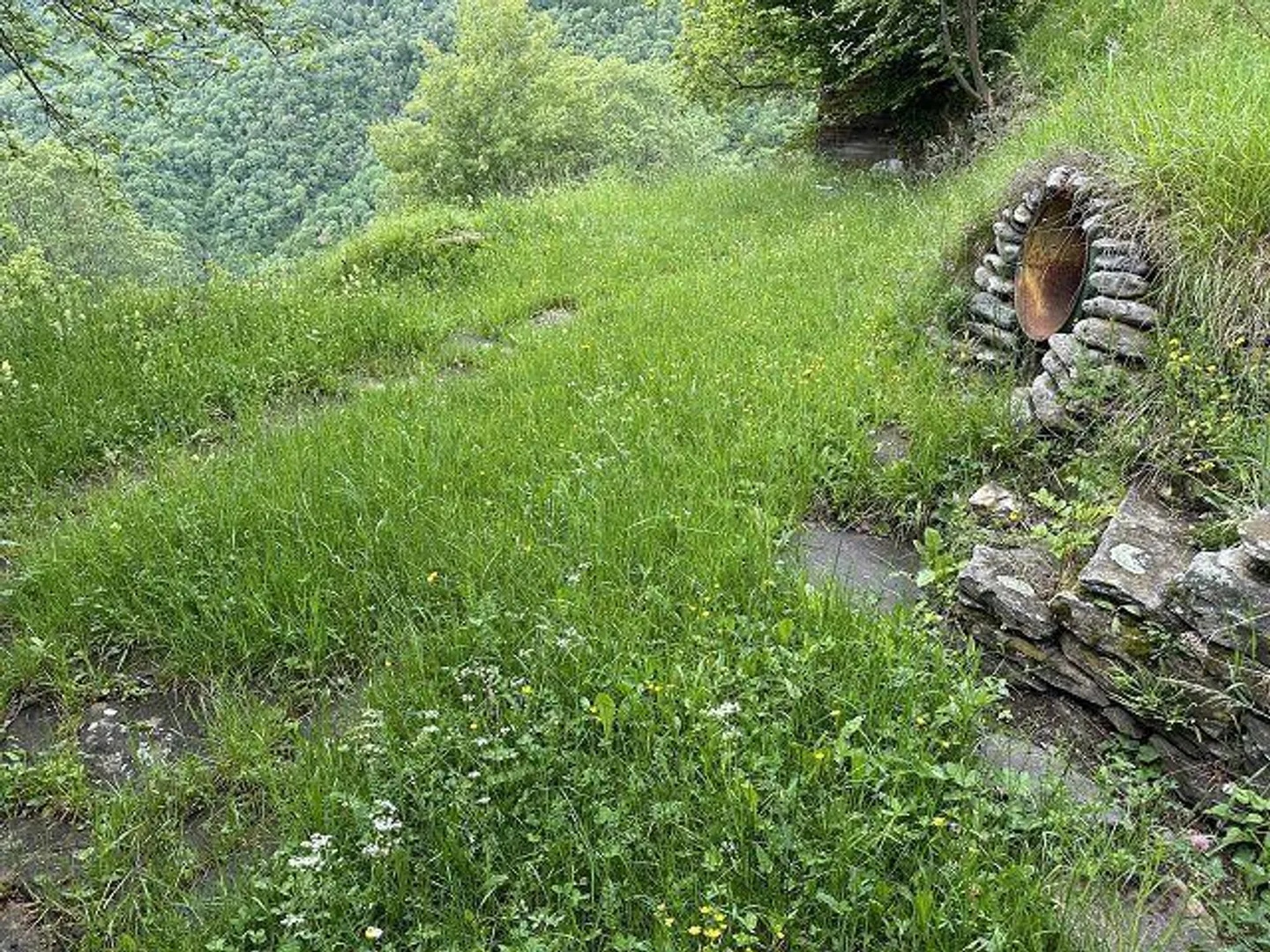rustico di 2 1/2 loc.  molto tranquilla, soleggiata - Foto 18 di 33