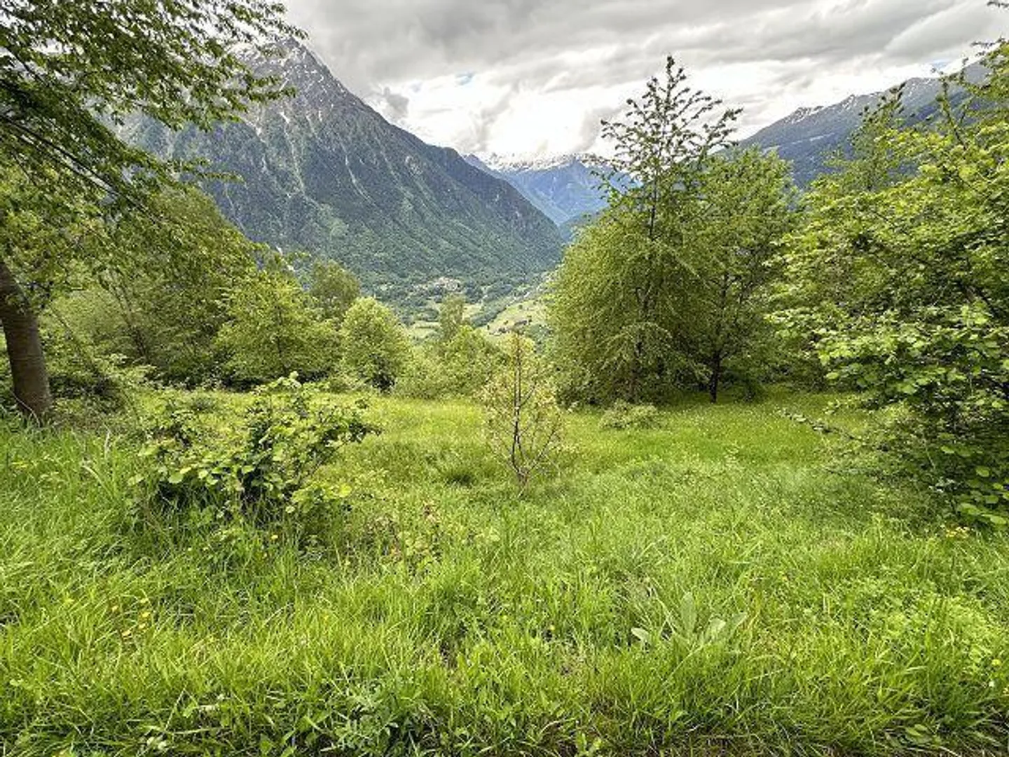 rustico di 2 1/2 loc.  molto tranquilla, soleggiata - Foto 19 di 33