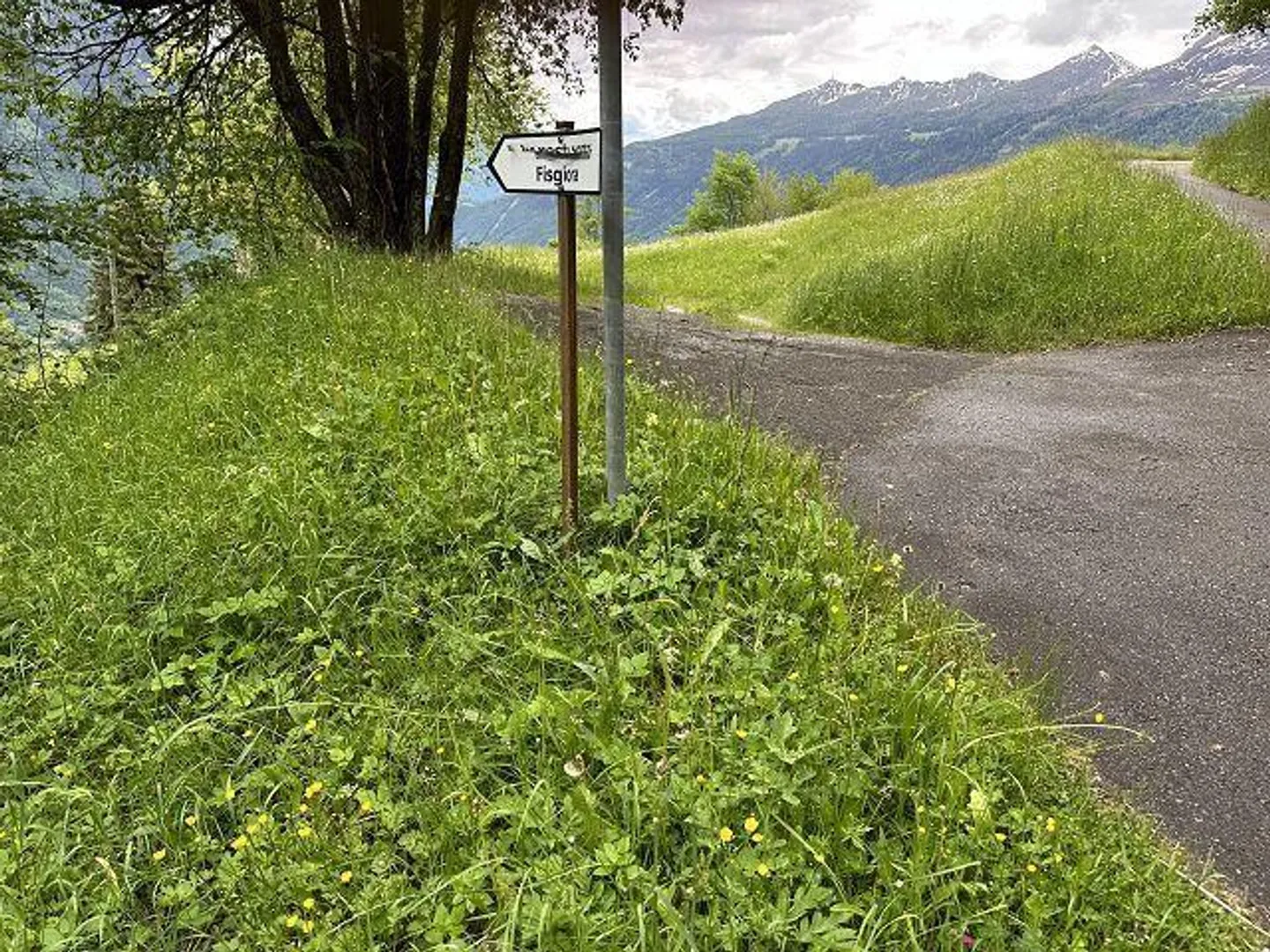 rustico di 2 1/2 loc.  molto tranquilla, soleggiata - Foto 20 di 33