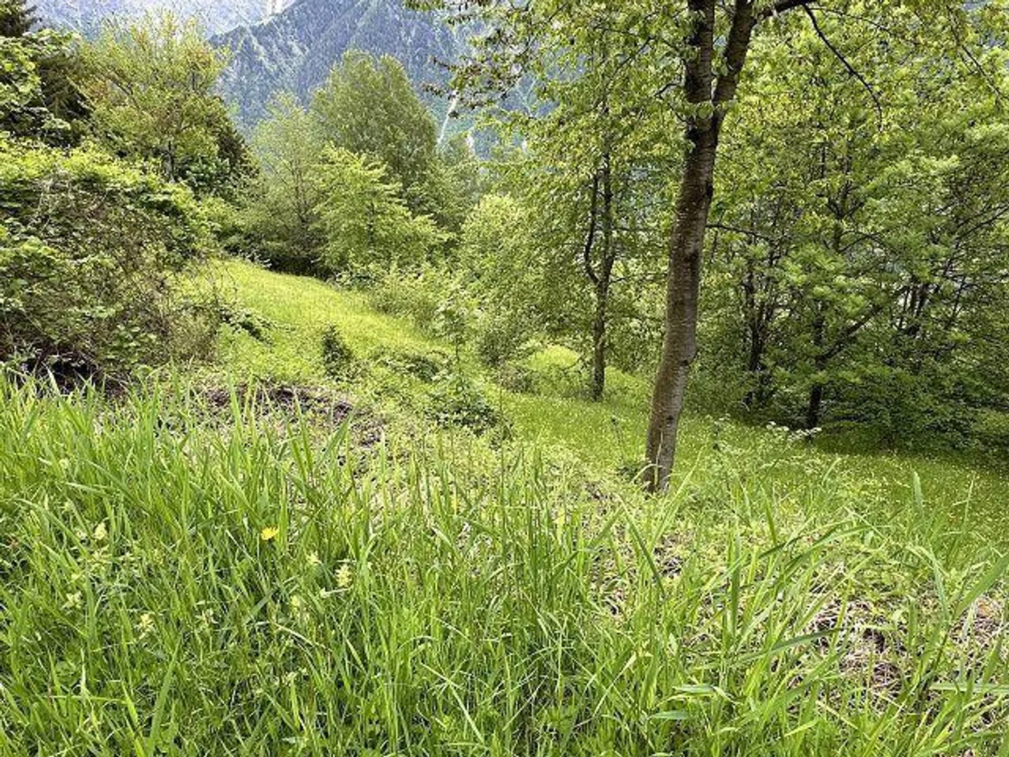 rustico di 2 1/2 loc.  molto tranquilla, soleggiata - Foto 21 di 33