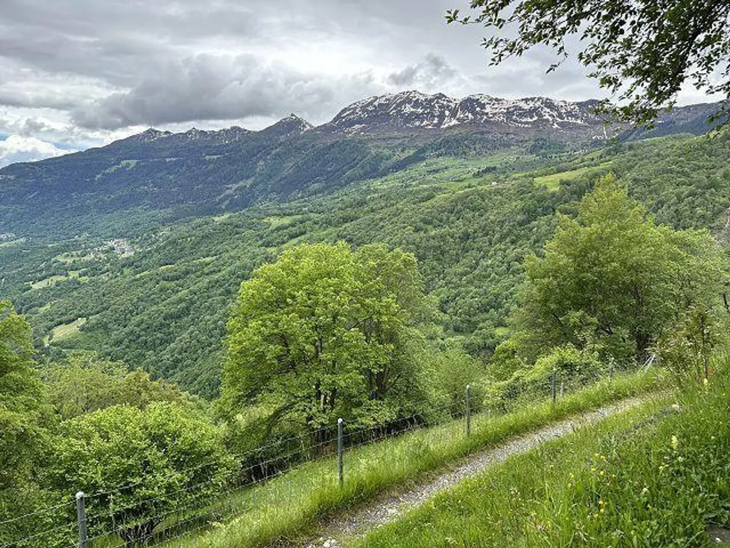 rustico di 2 1/2 loc.  molto tranquilla, soleggiata - Foto 23 di 33