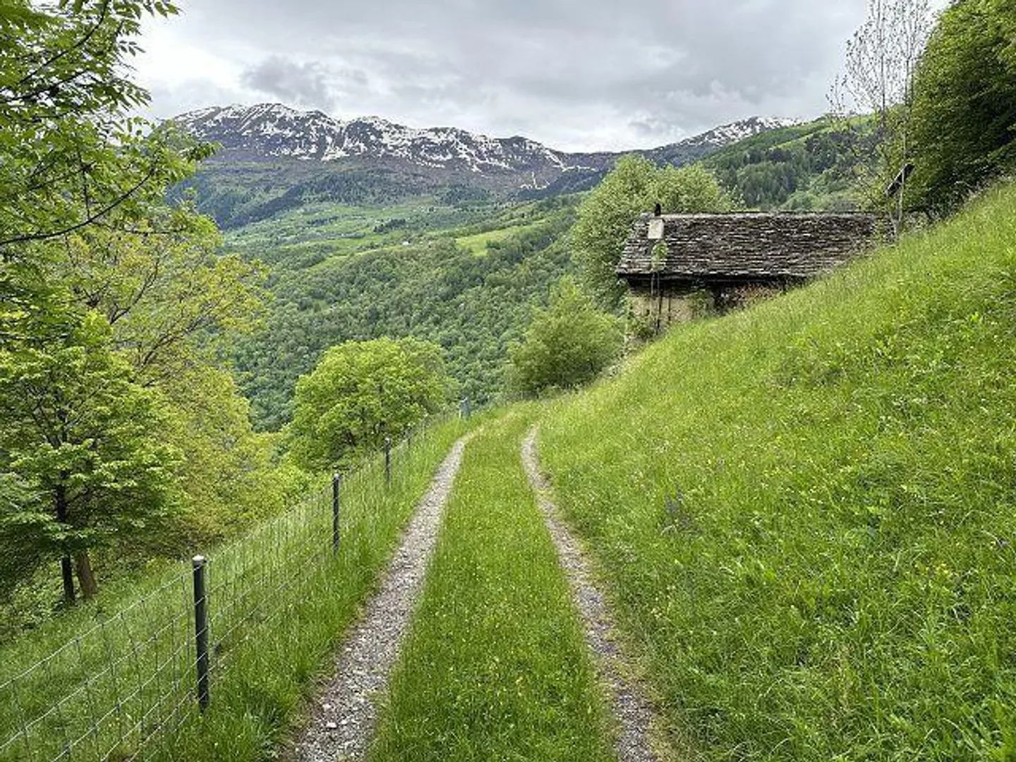 rustico di 2 1/2 loc.  molto tranquilla, soleggiata - Foto 26 di 33
